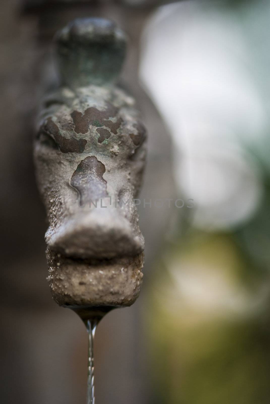 Water Drop from a Fountain by jovannig