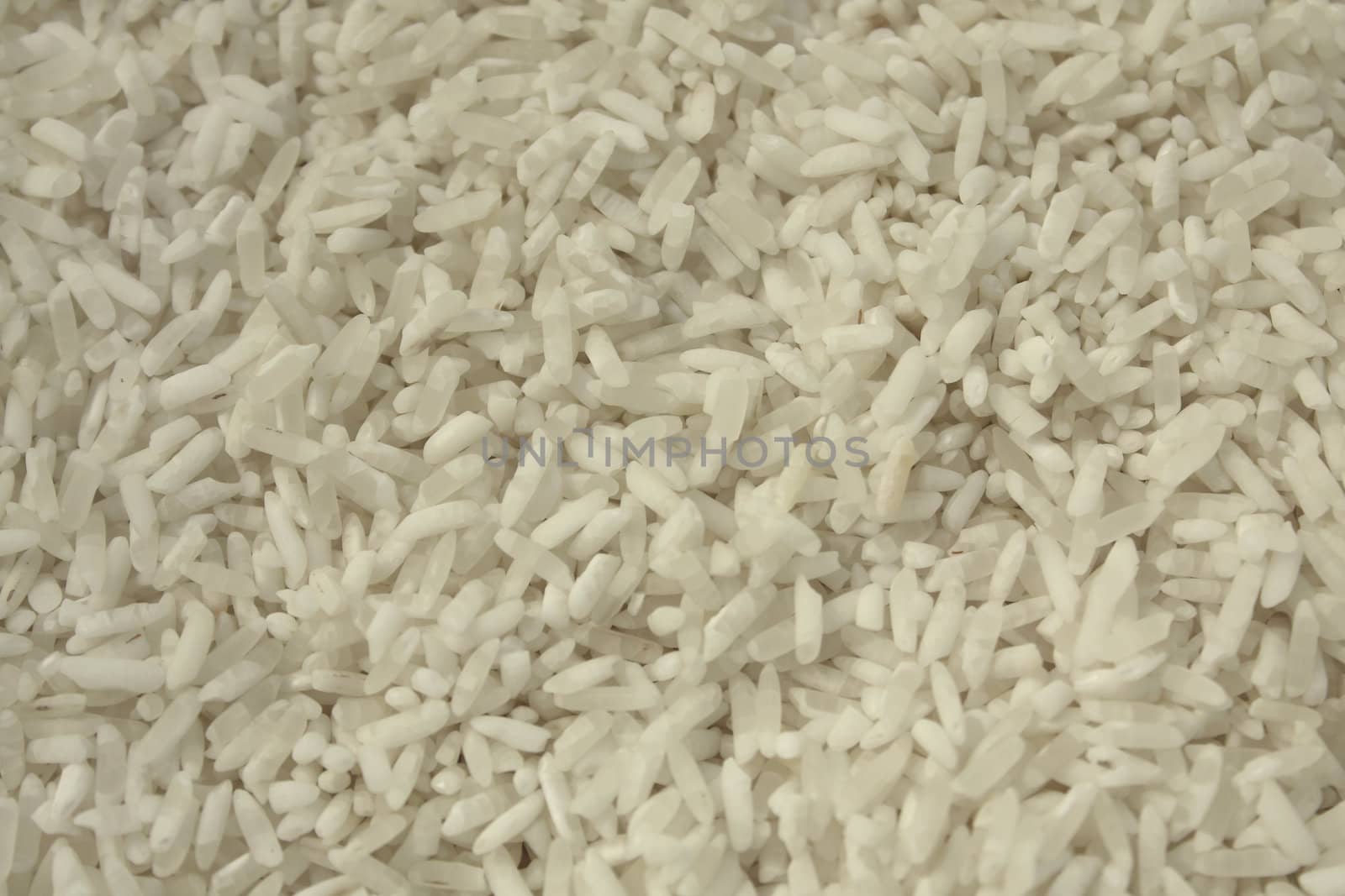 Close up of the rice texture. Background.