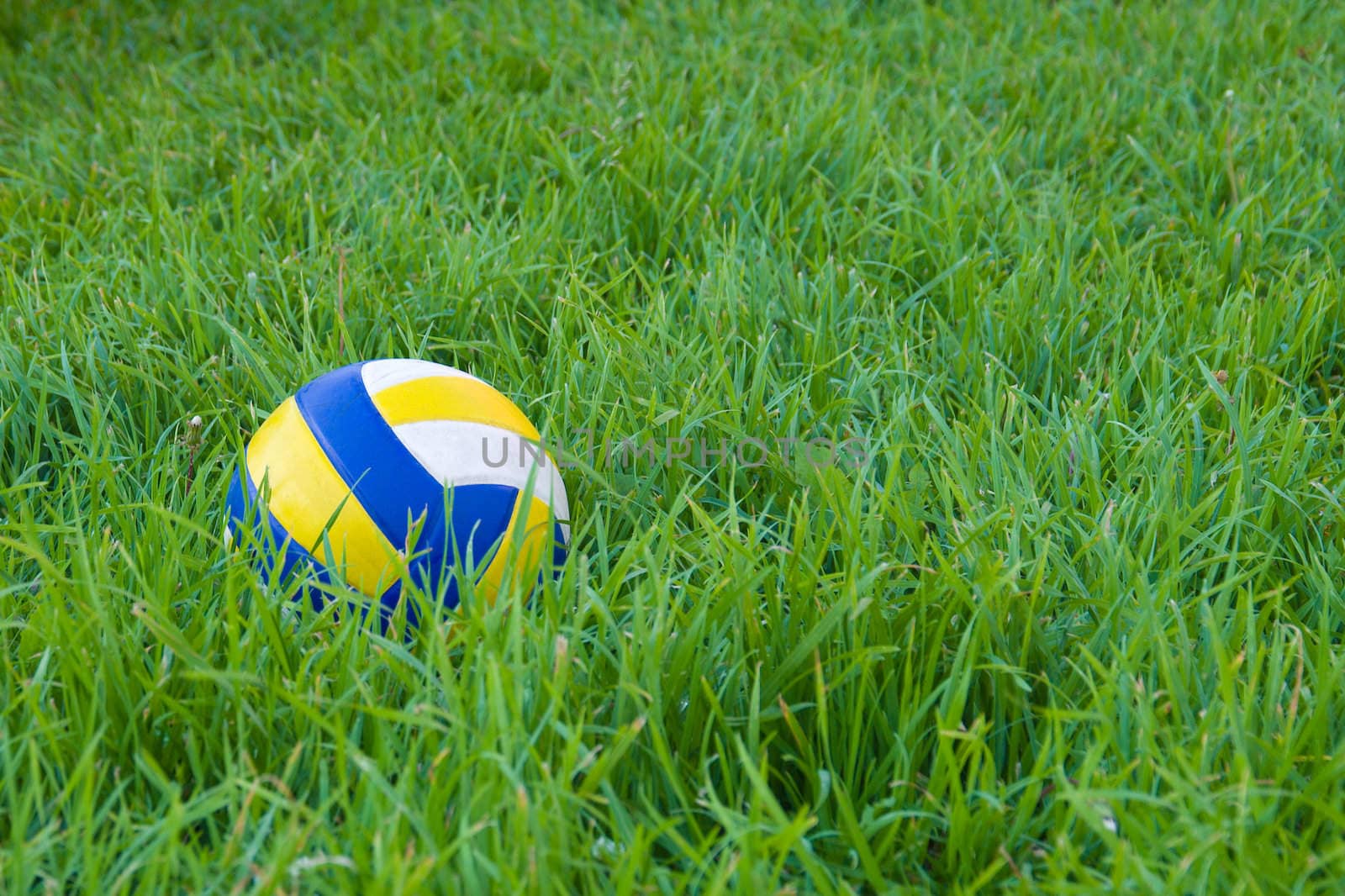 Multi-colour ball laying on green grass