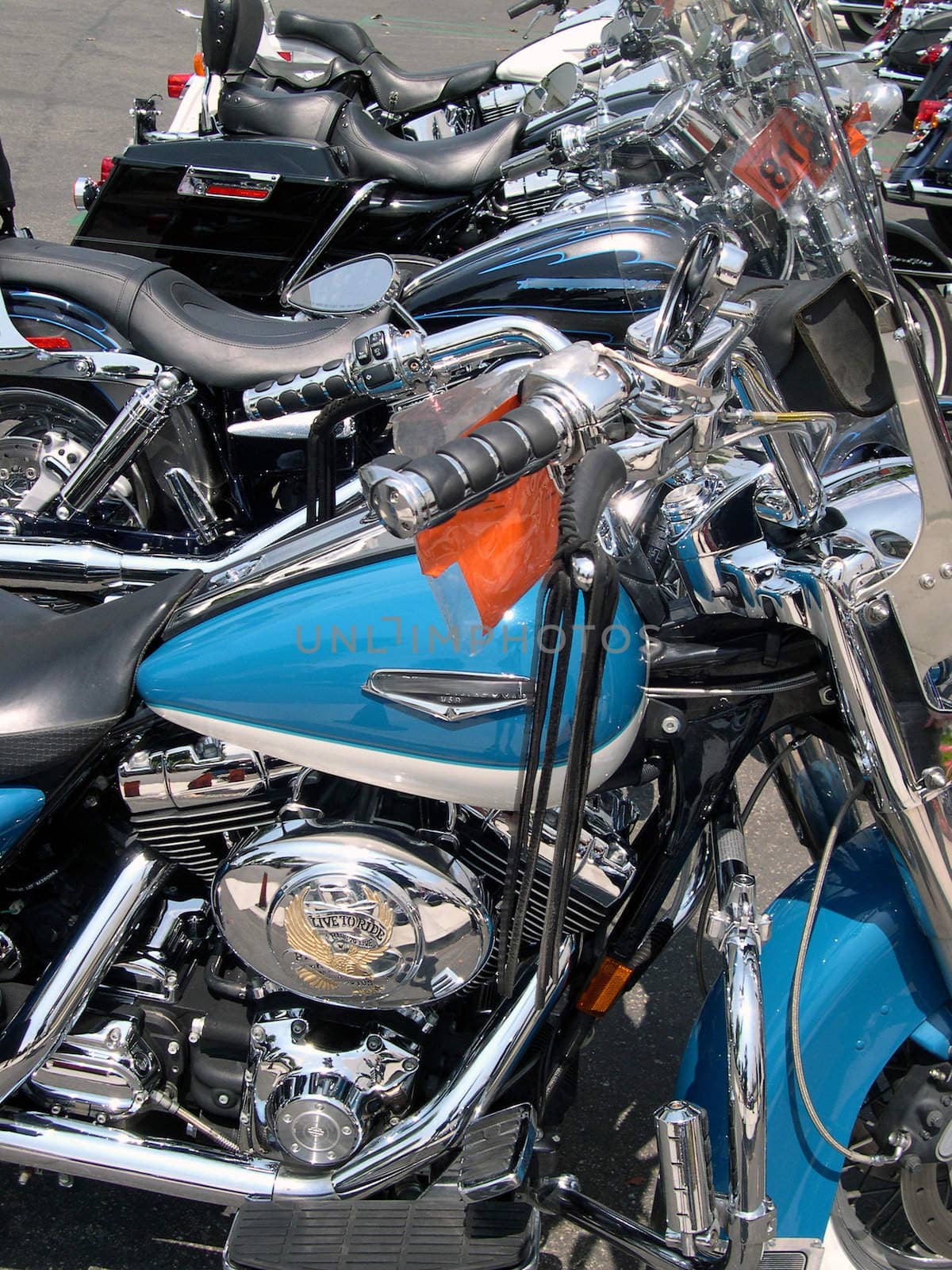 motorcycles all lined up in a row