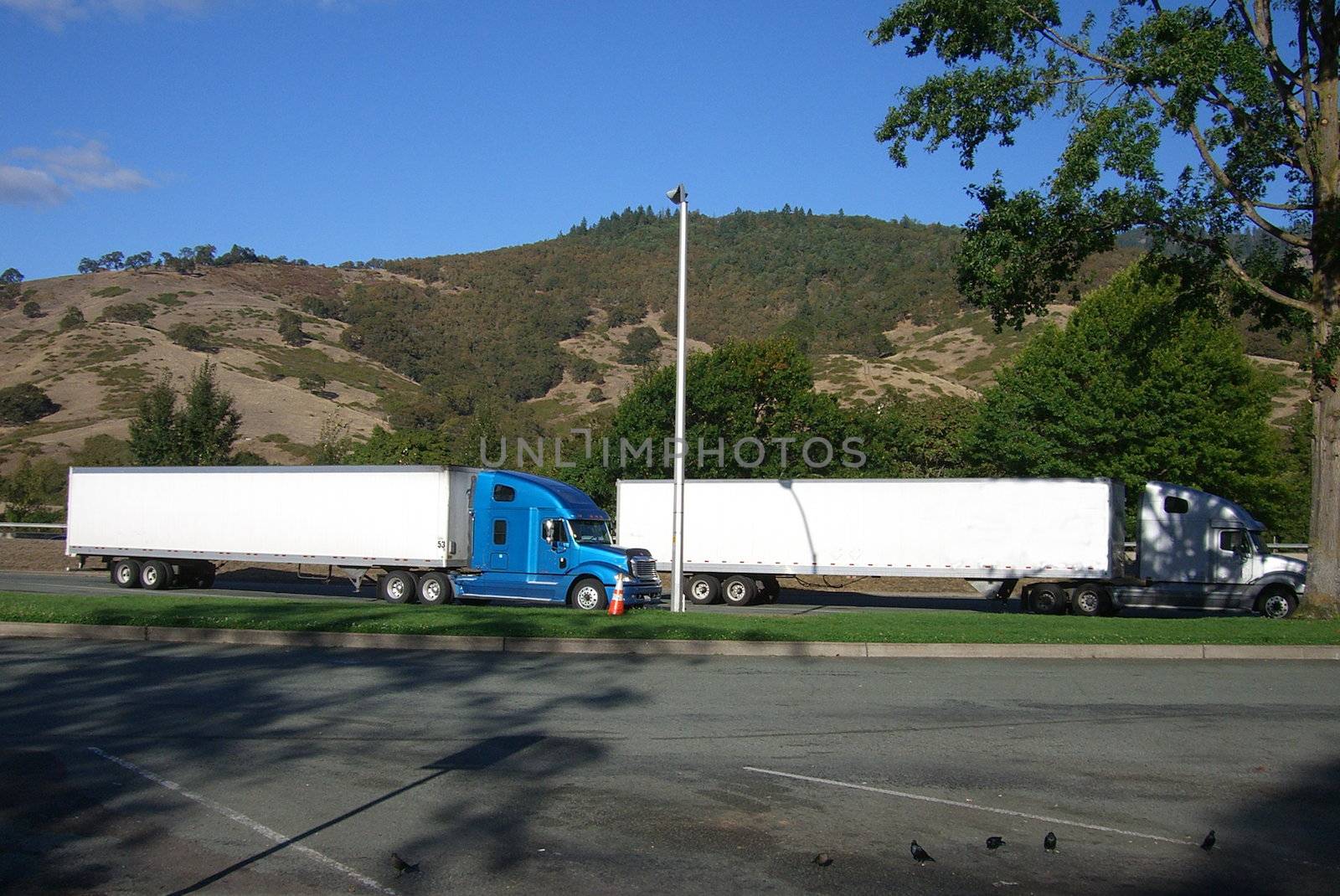 Trucks rest under a tree at an isolated truckstop.