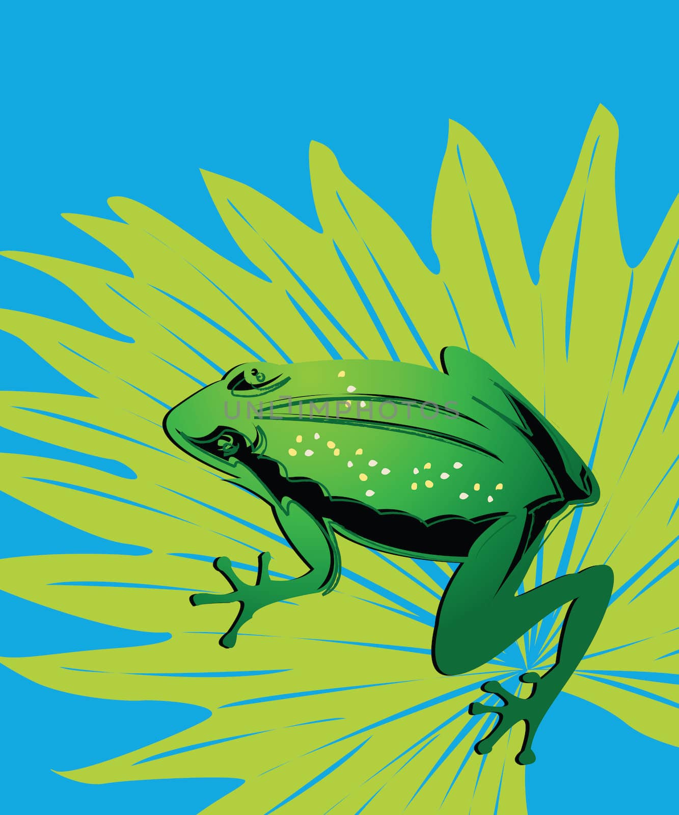 Green frog by Lirch