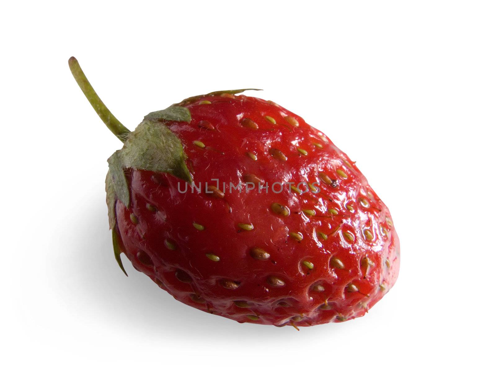 strawberry by Jim
