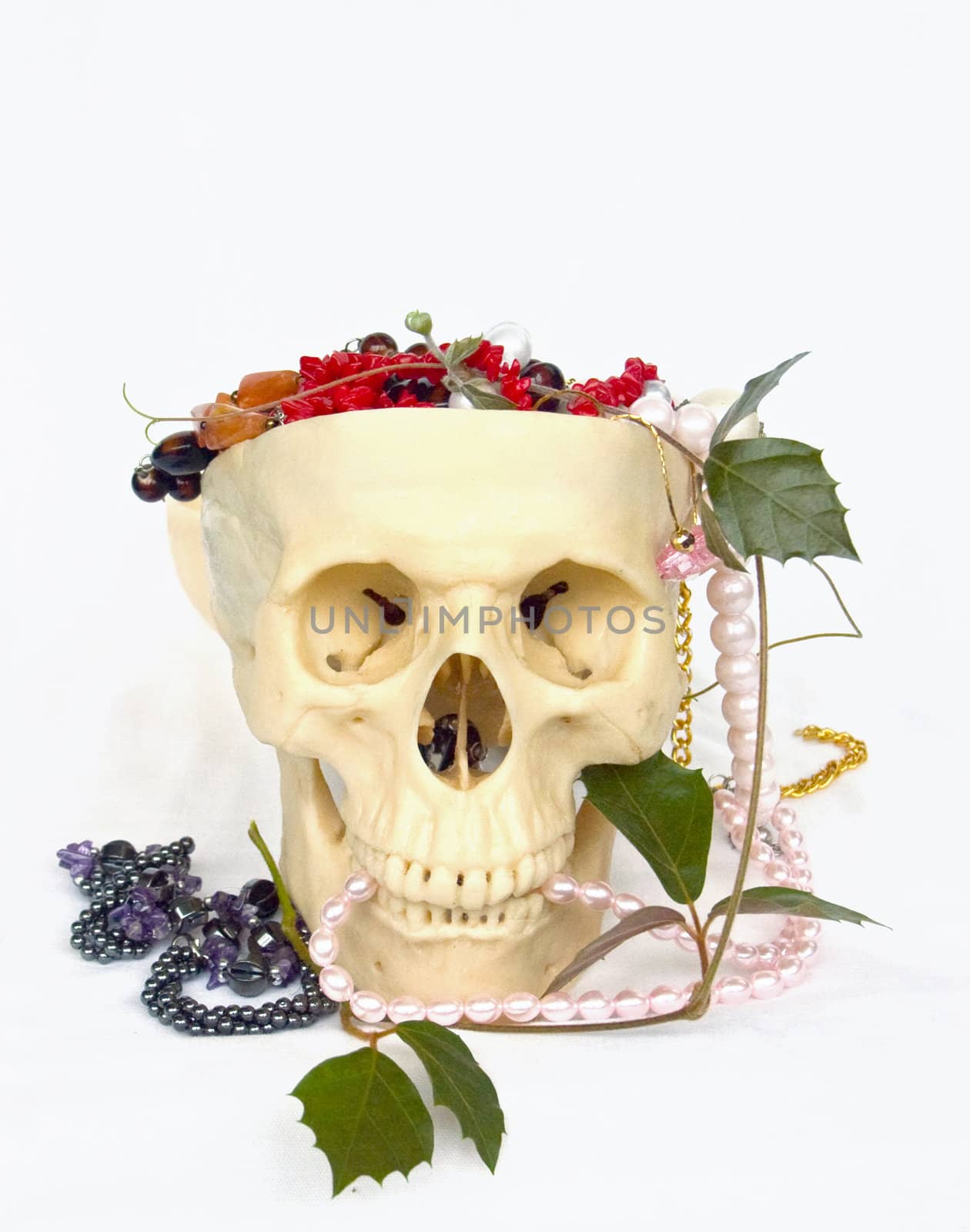 the Image of the skull filled by jeweller ornaments