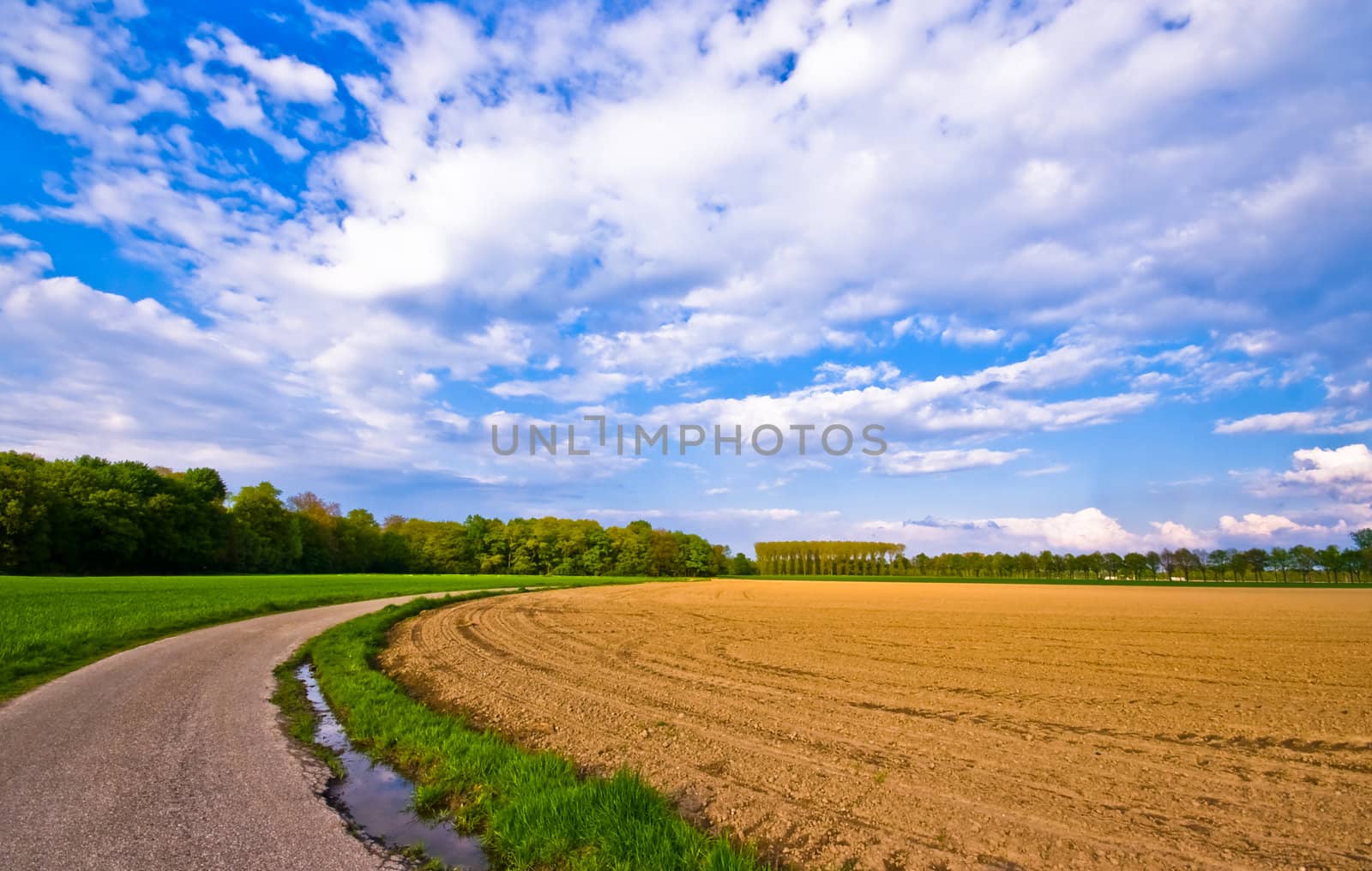 country road trough farmlandscape with blue sky and clouds