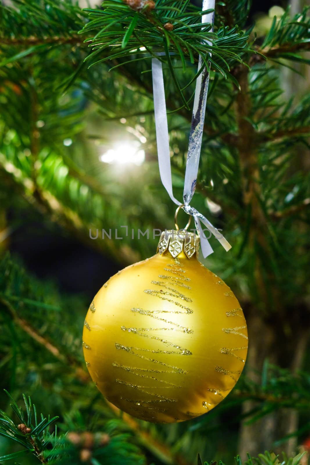 Christmas ball on the fir tree