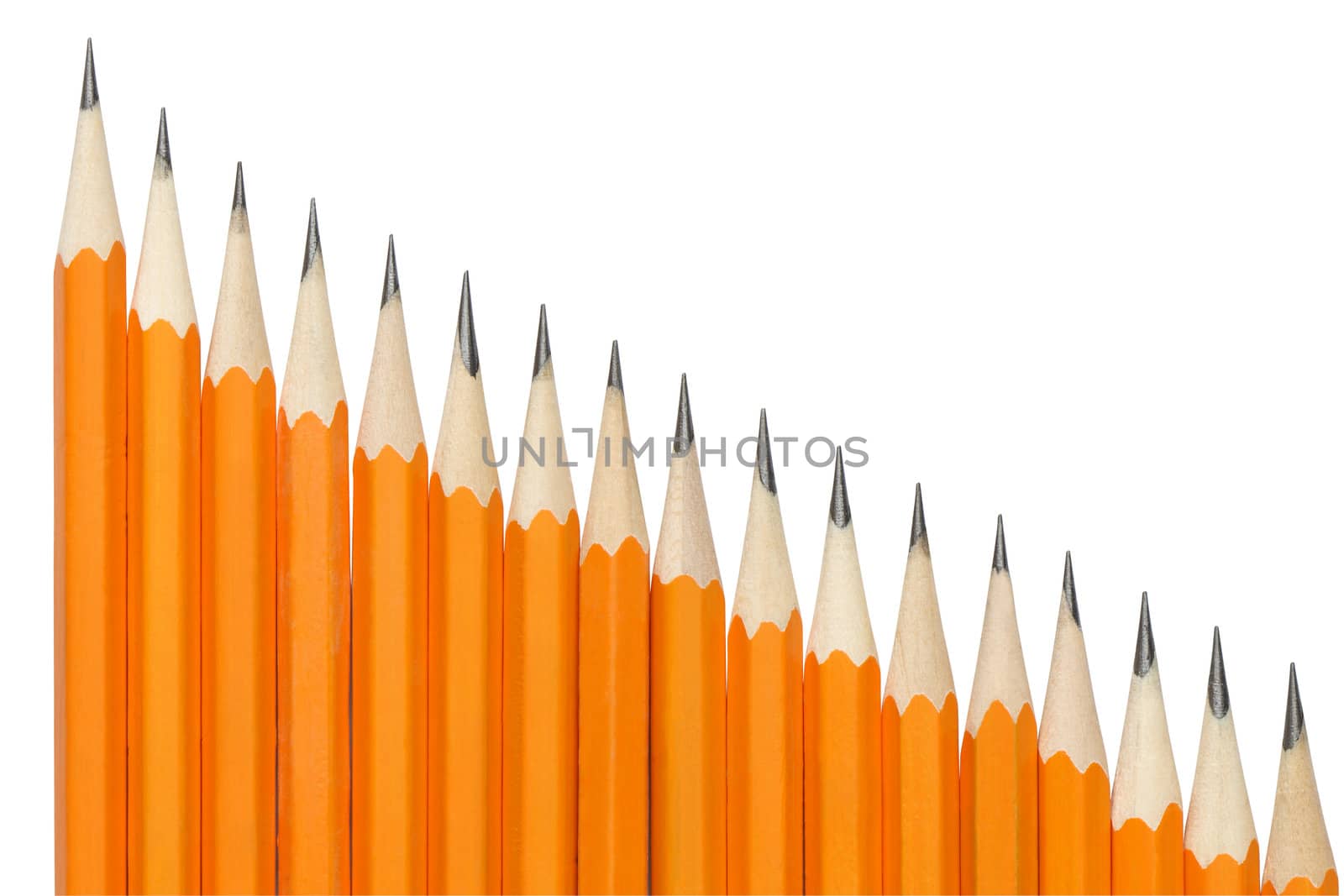 Few wooden yellow pencils in a row isolated on white background with clipping path