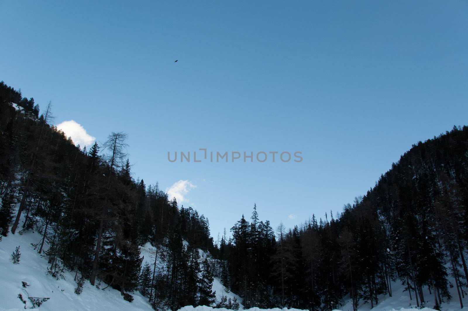 Two mountains stretch to each side, covered with trees and high snow. Shot in Livigno - Italian Alps