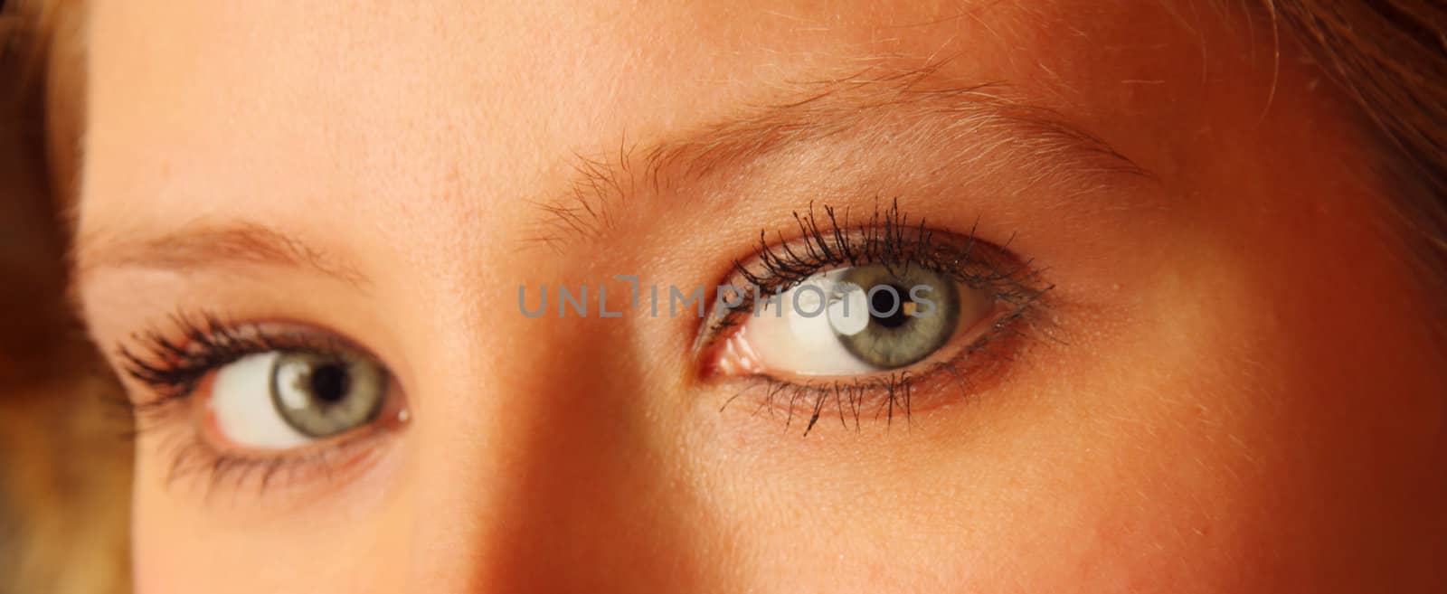 closeup view on the eyes of a pretty girl