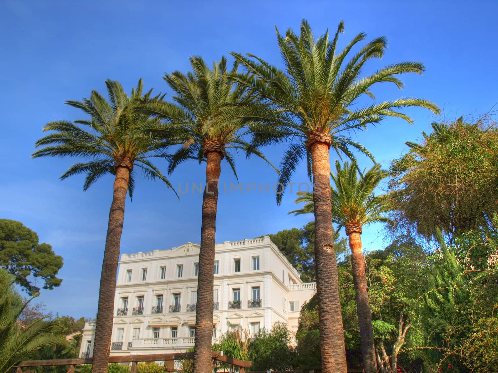 ancient villa  "Henri-Joseph" among plam trees in Hyeres on french riviera