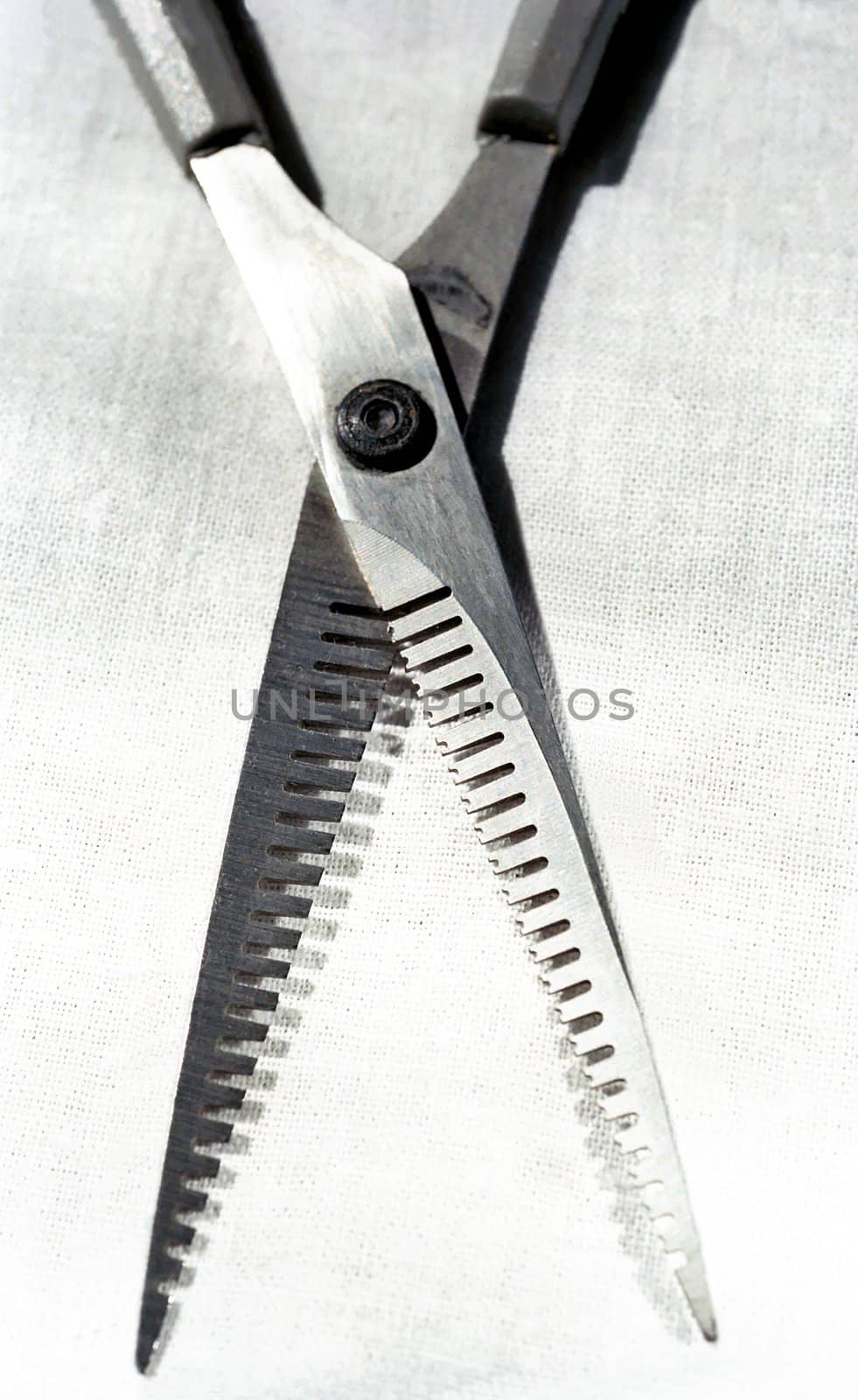 Barber's snippers close-up