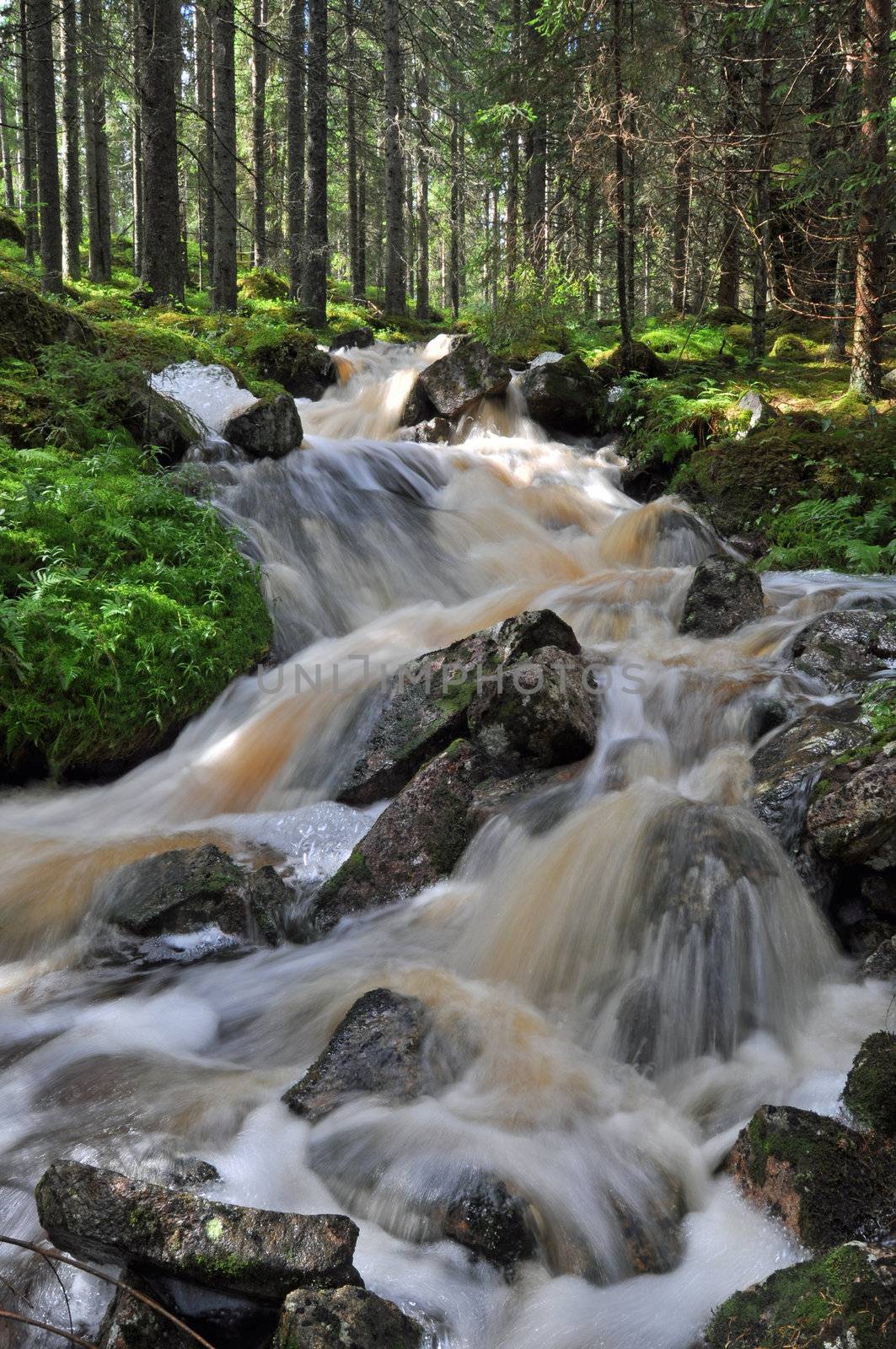 Waterfall in the swedish wilderness.