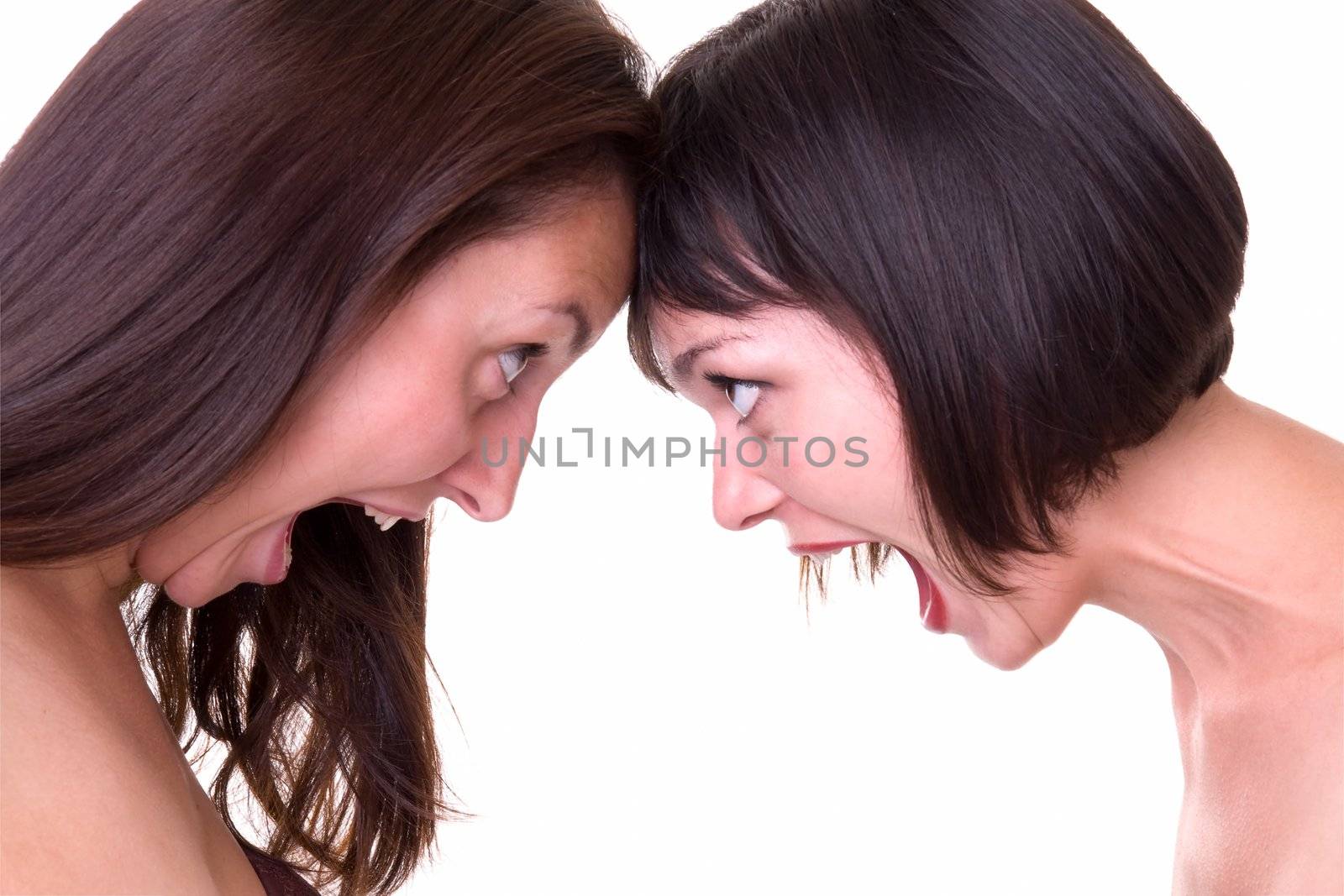 Conflict. Two shouting women on a white background.