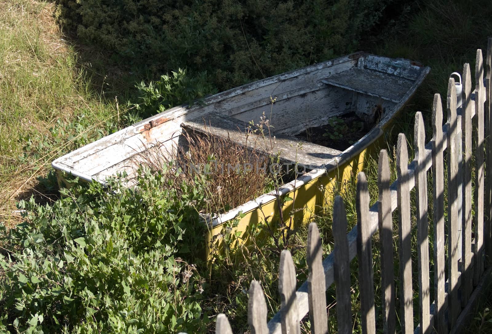 Old wooden boat, with weeds growing in it.