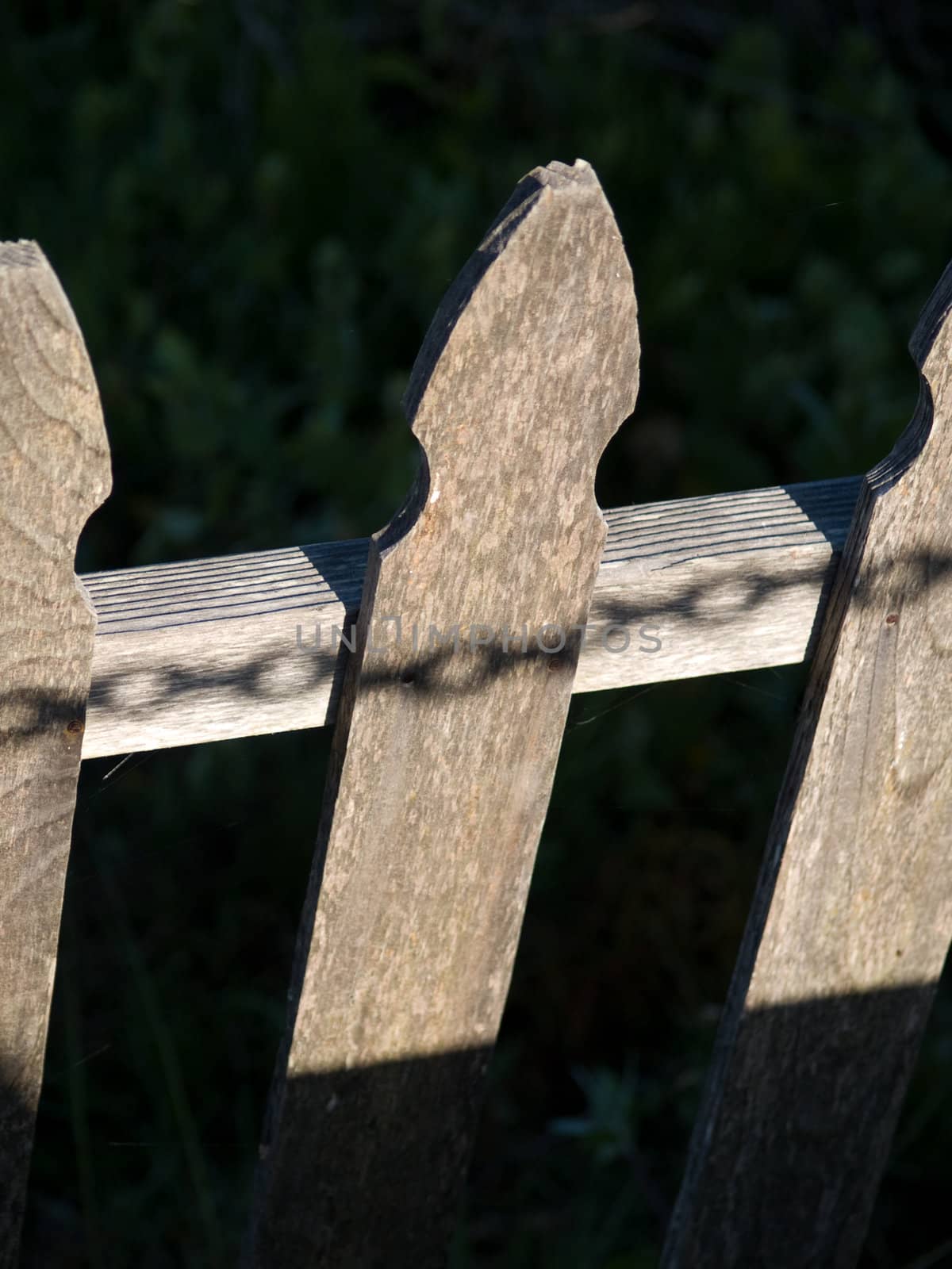 Shadow of a chain on a wooden fence, symbolizing captivity.