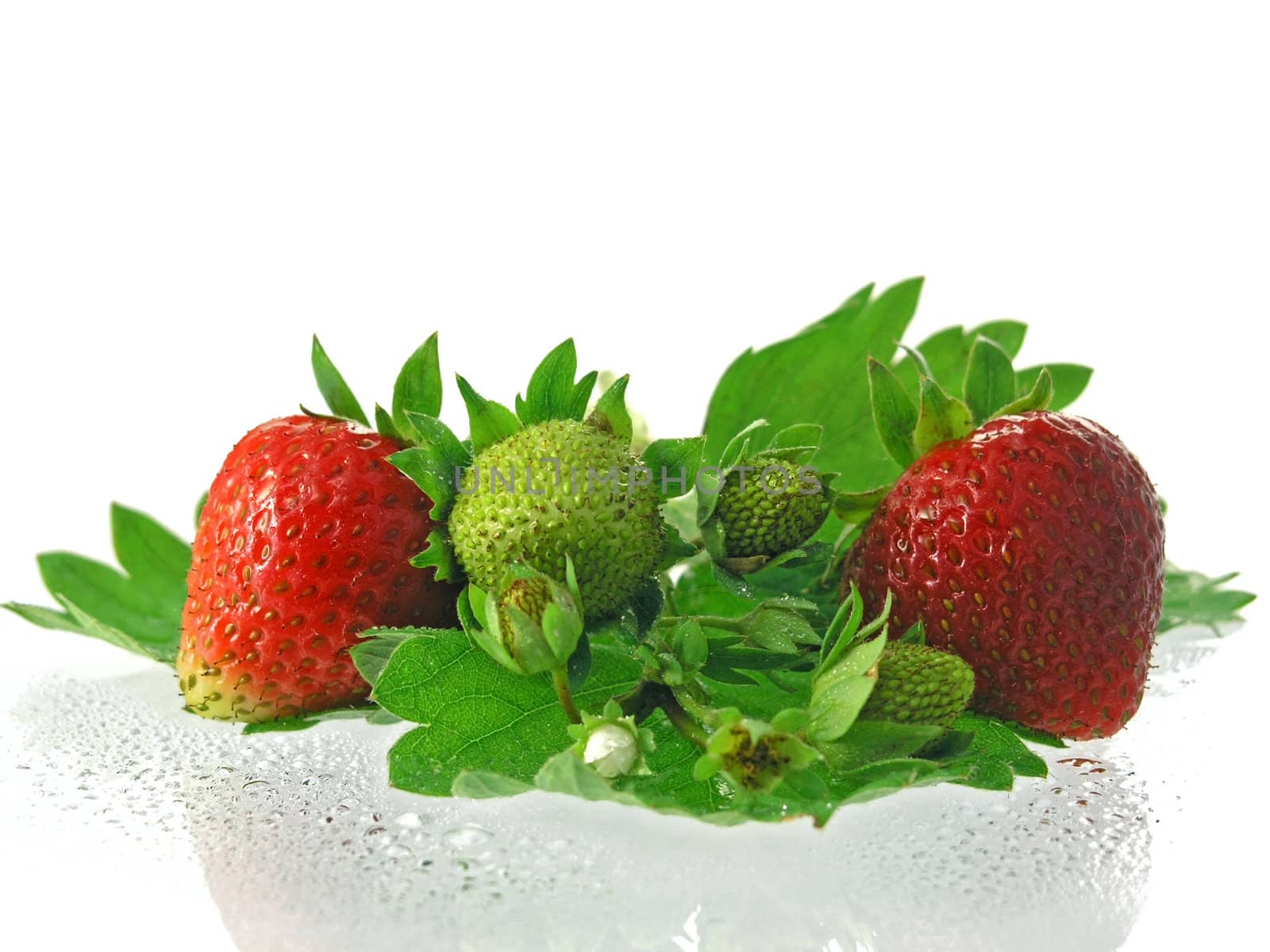 fresh strawberries isolated on white background