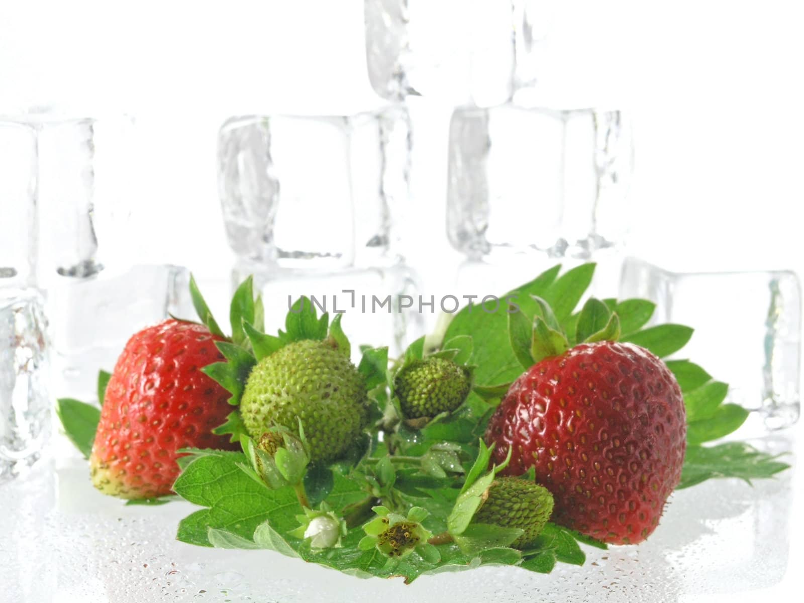 fresh strawberries isolated on white background