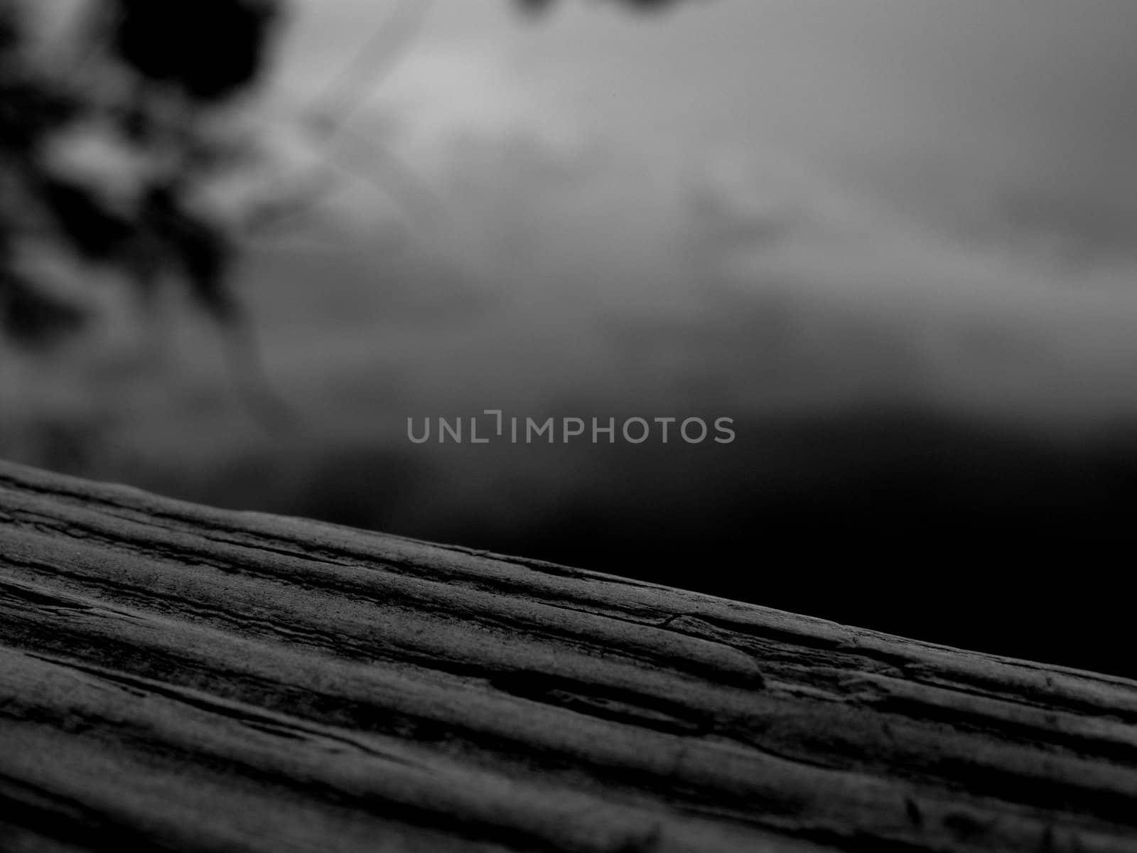 Reflection of water from dock