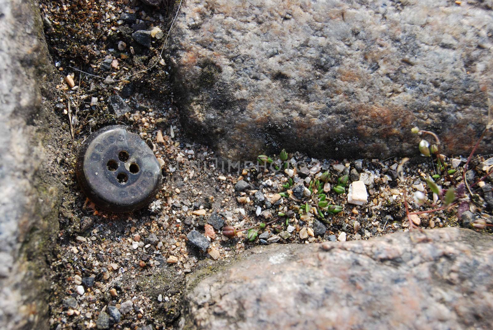 lost grey button lying on the ground
