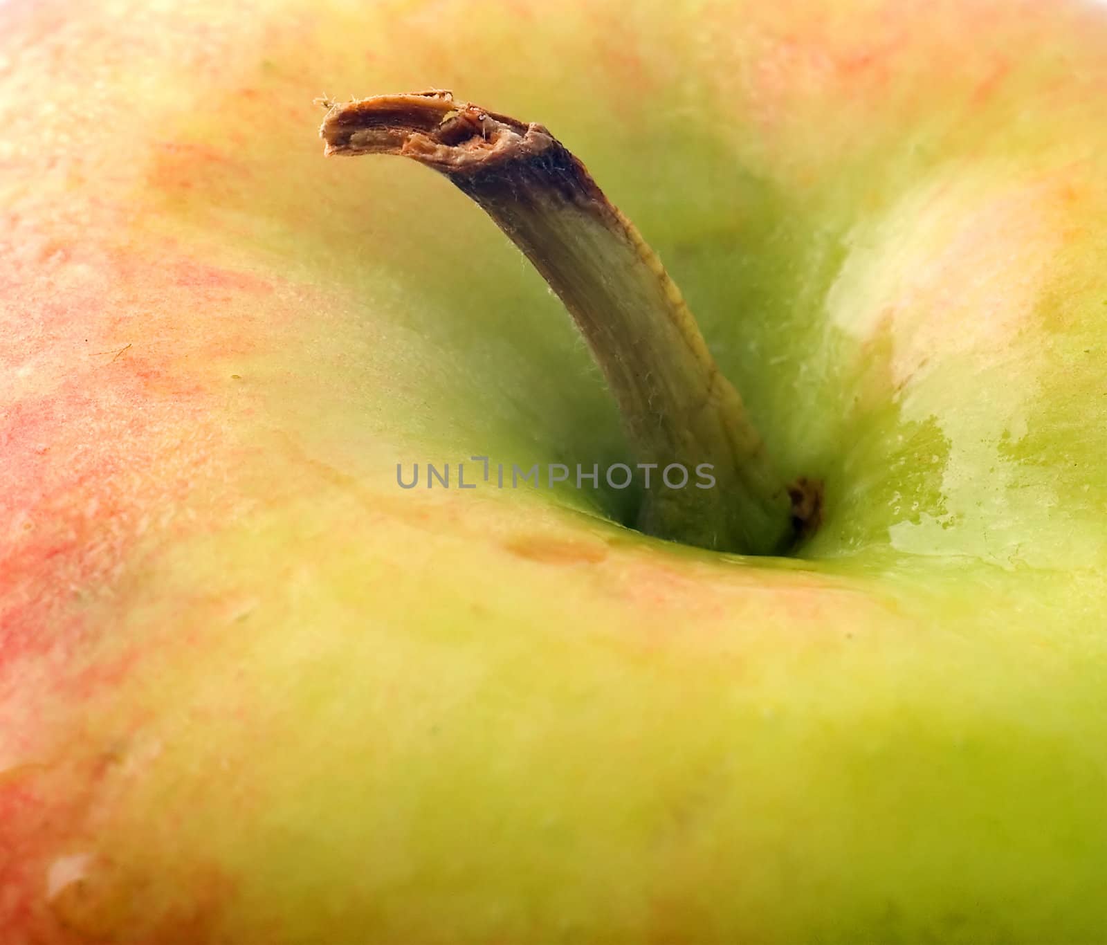 Apple  background. Isolated object. Close-up.