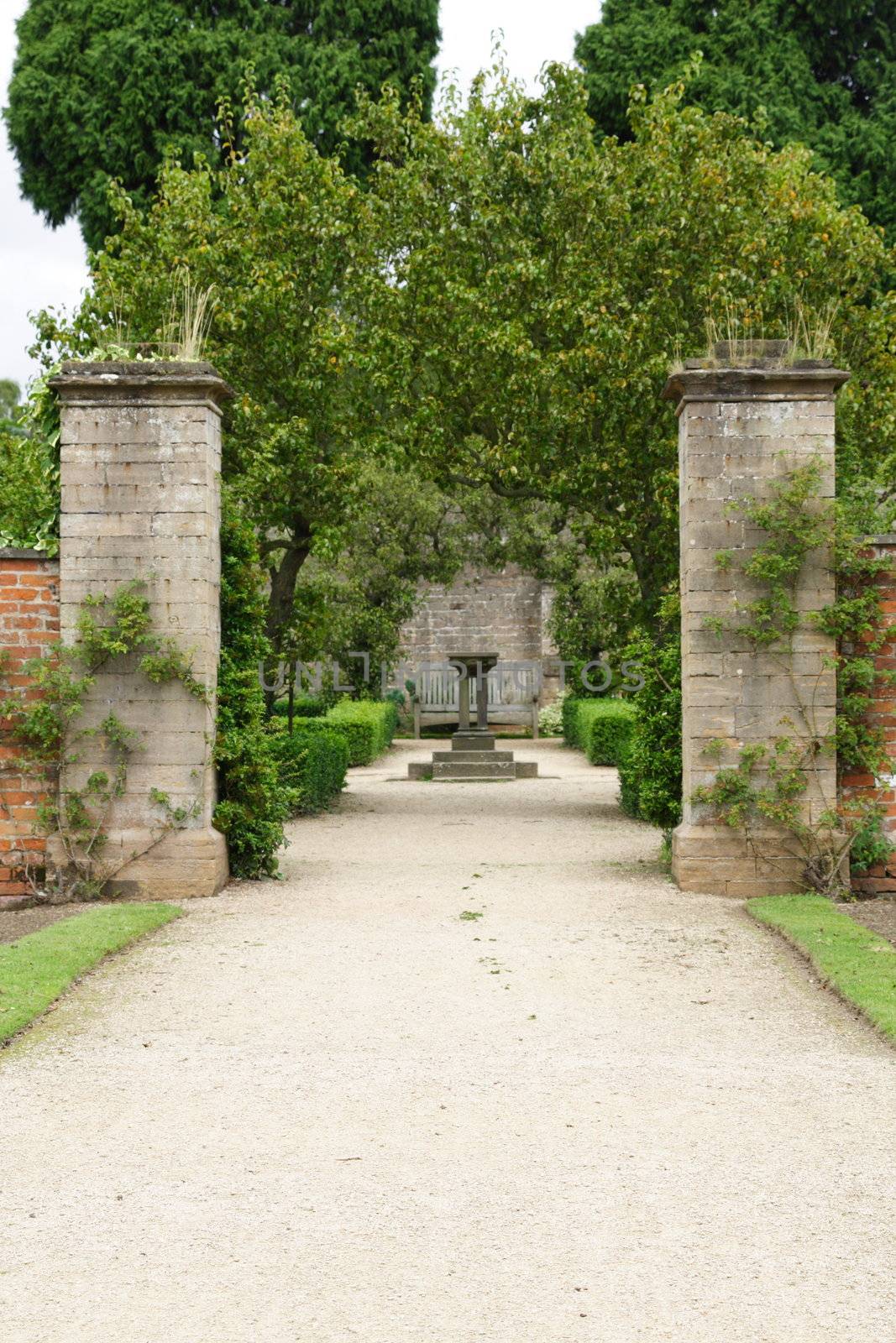 path through a garden