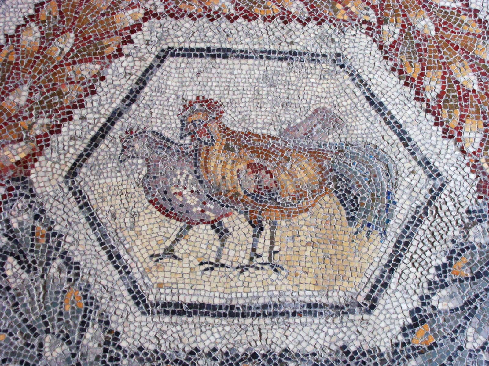 Mosaic in Bardo Museum