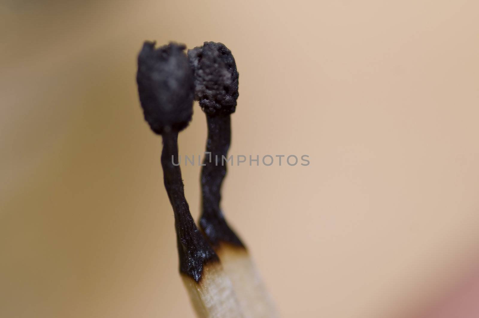 macro on a couple of burned matches on light wood background