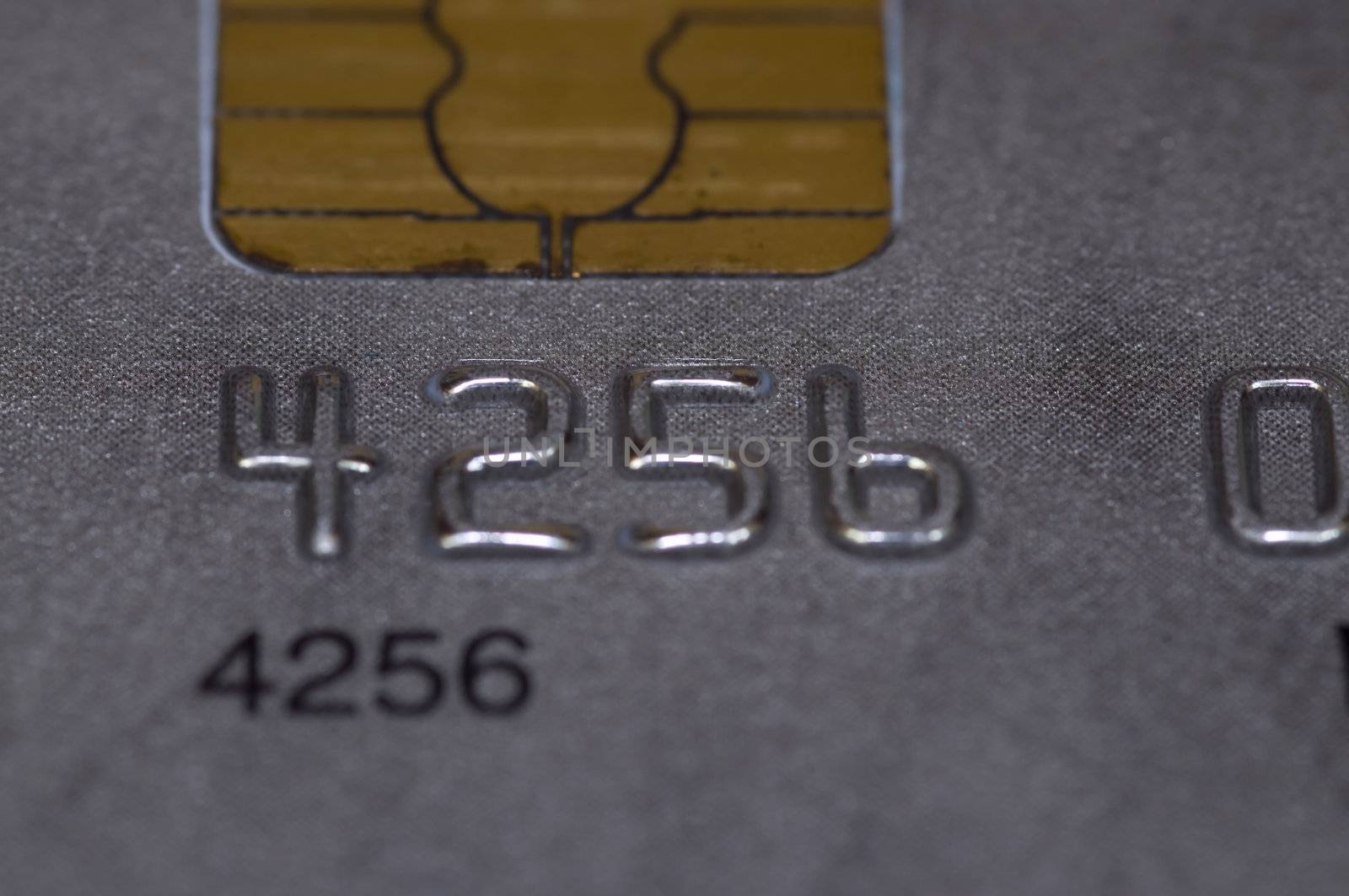 macro on credit card, shallow DOF