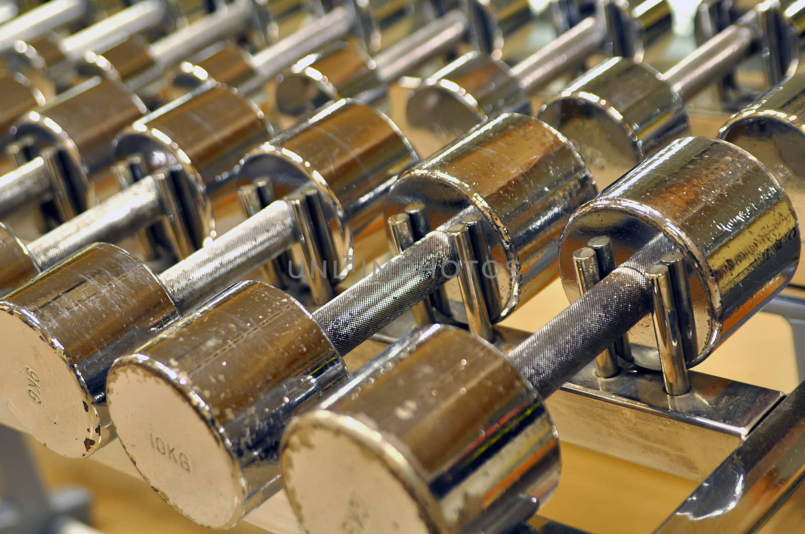 A row of dumbbells in a gym.