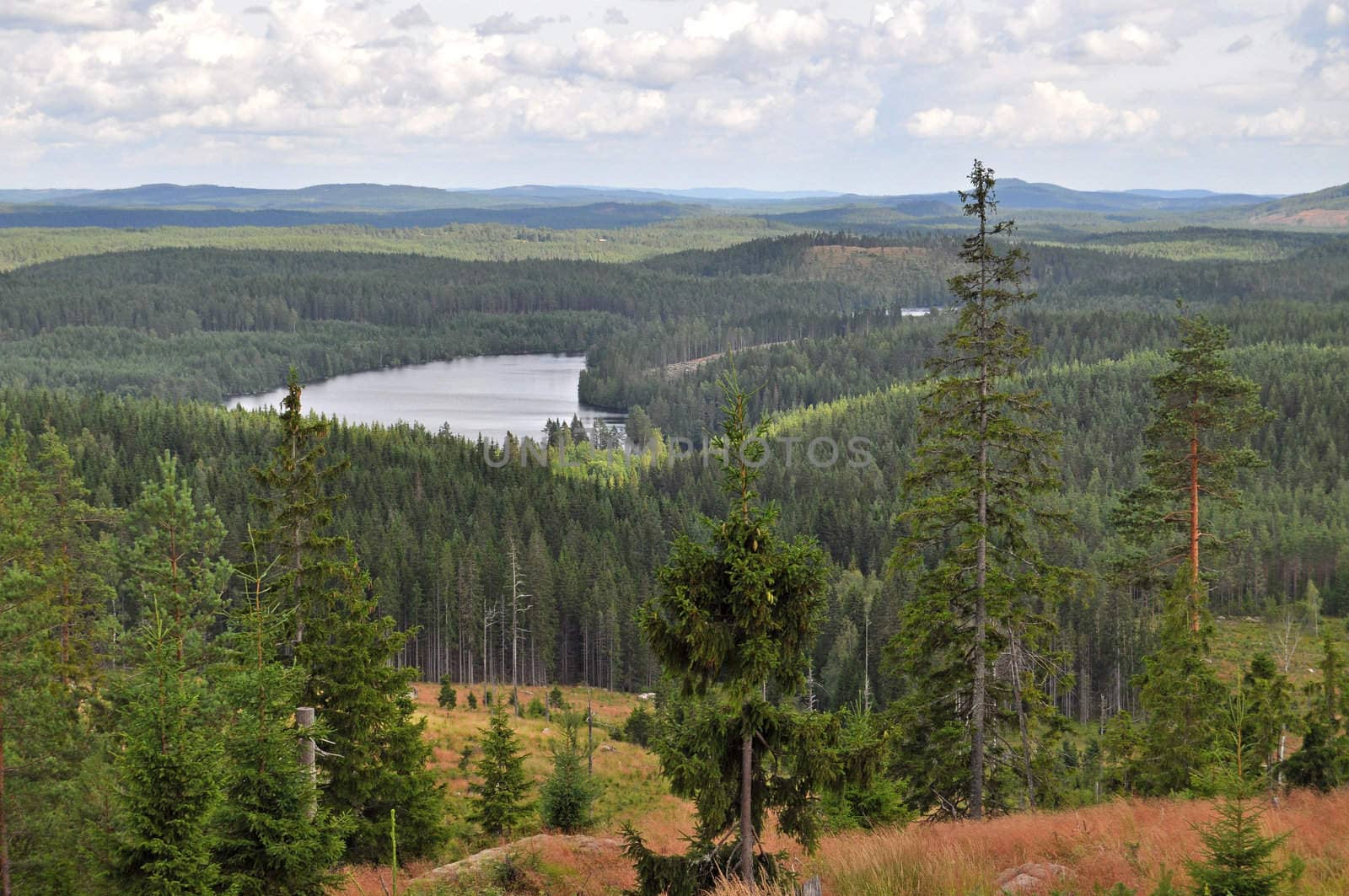 View over a part of the swedish wilderness in Värmland.