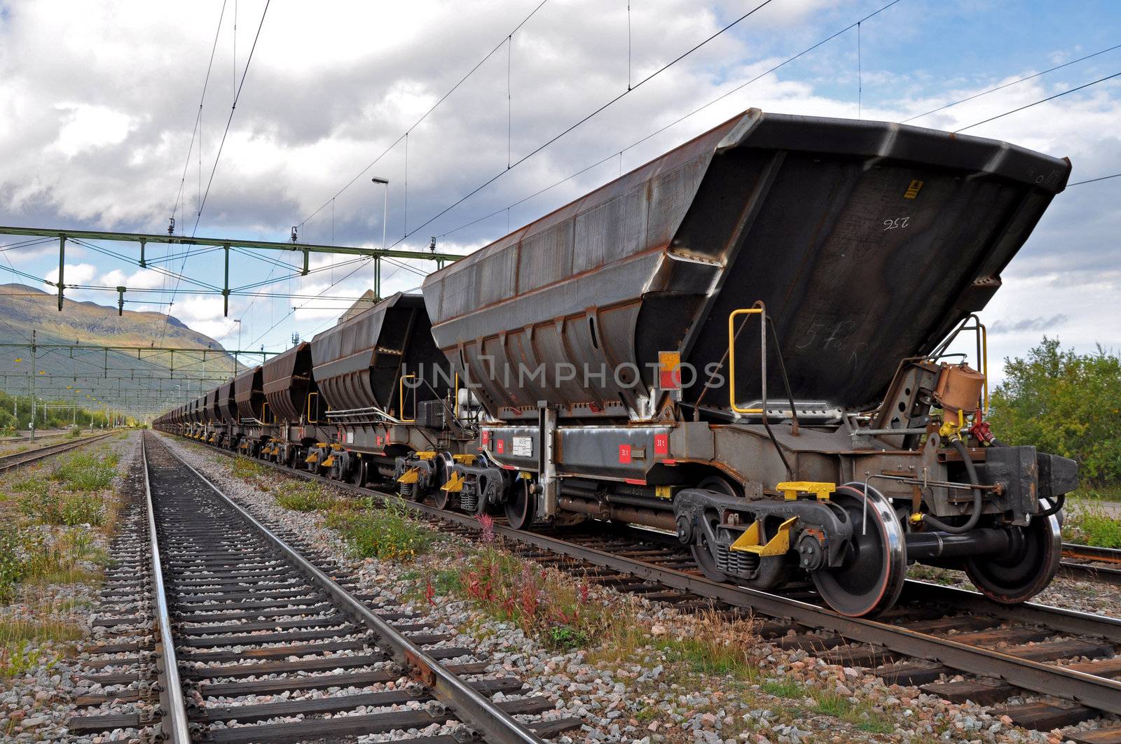 Trainset used for transportation of iron ore from the mines in northern Sweden to the harbour in Narvik, Norway.