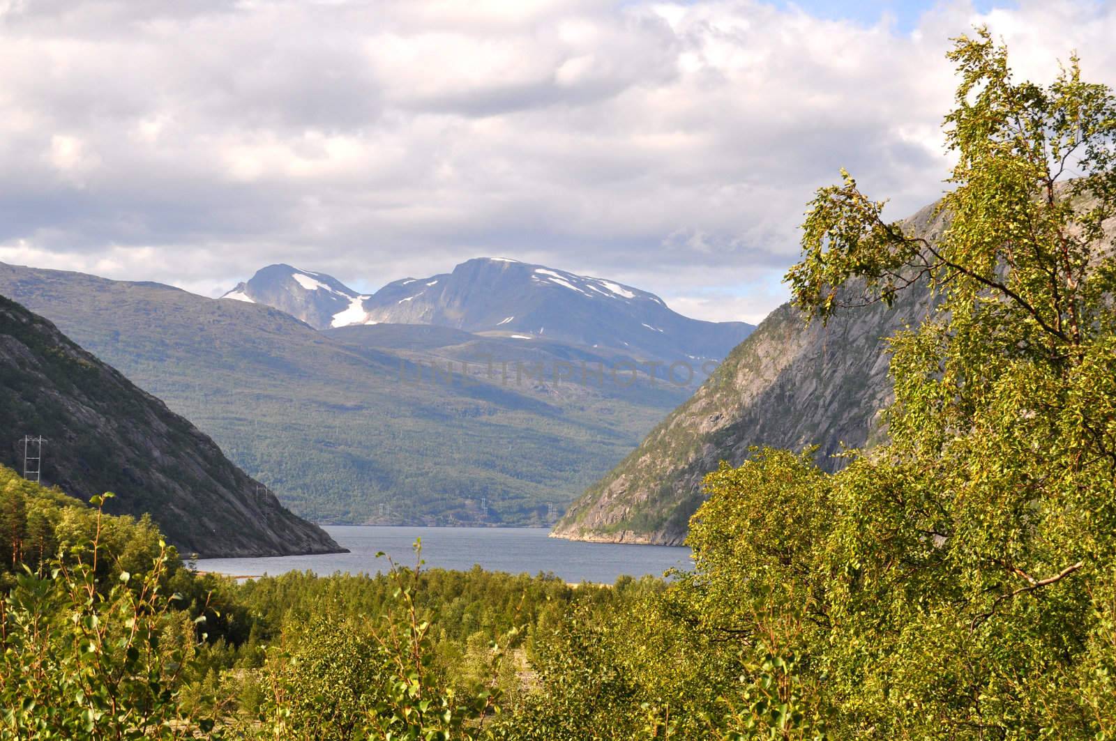 View of the landscape in northern Norway close to Narvik. The fiord in the background is Rombaken.