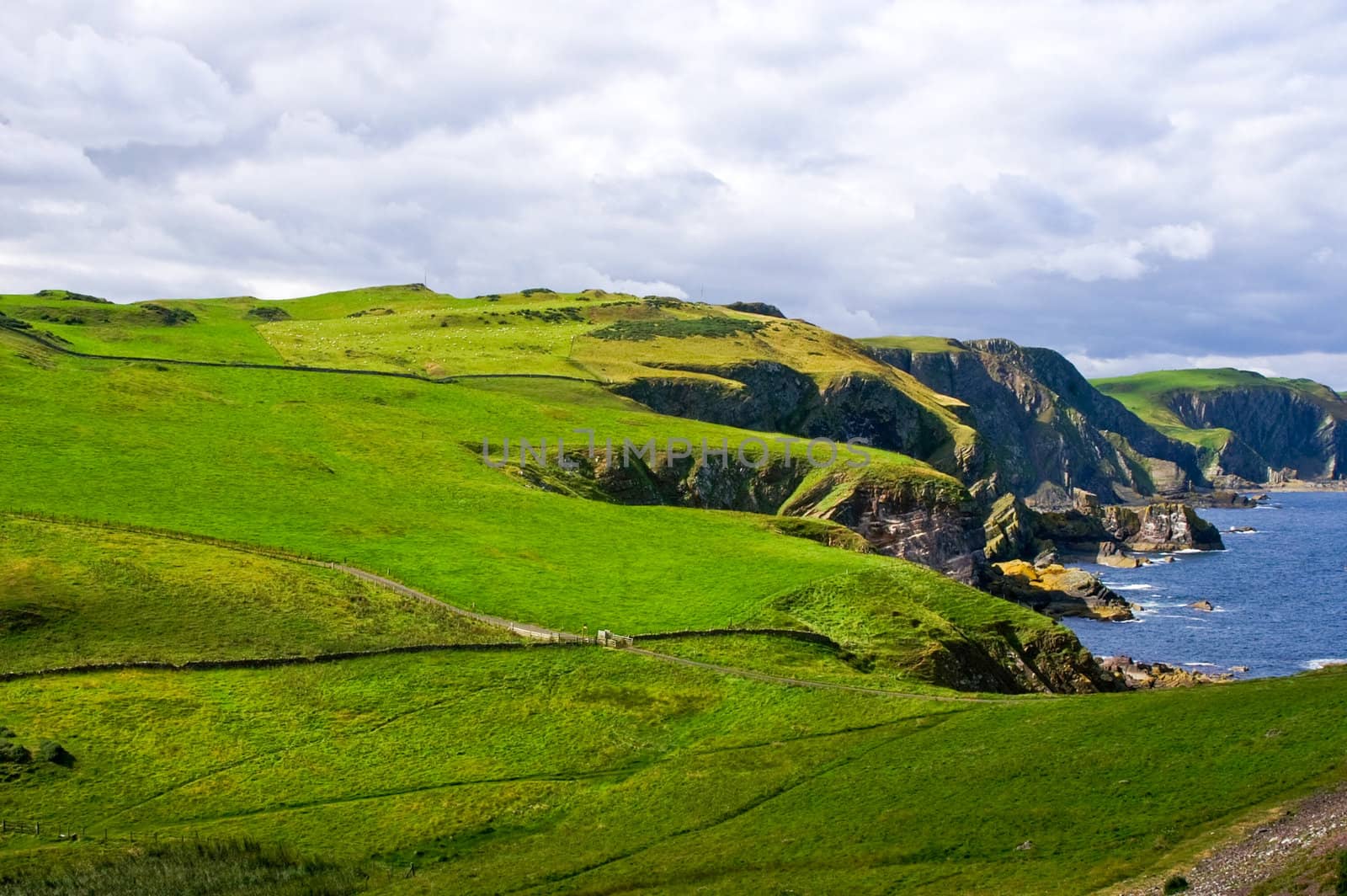 dangerous coastal cliffs covered with green pasture