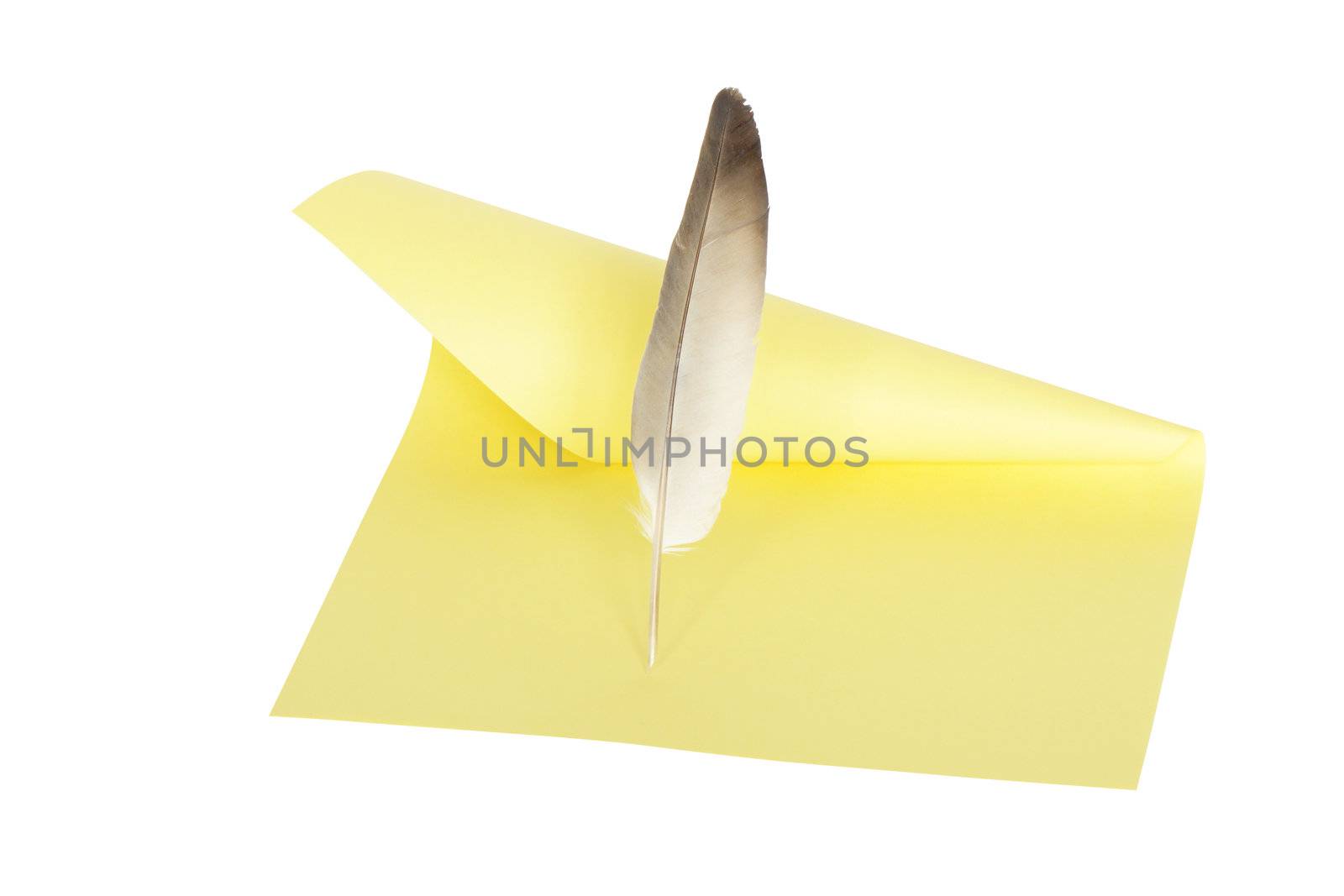 Feather standing on yellow paper sheet. Isolated on white with clipping path