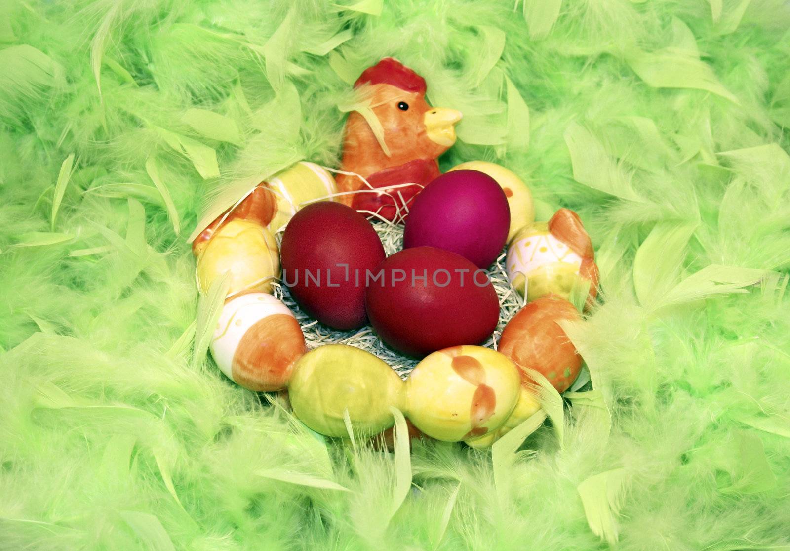 Chicken and eggs with feathers green background
