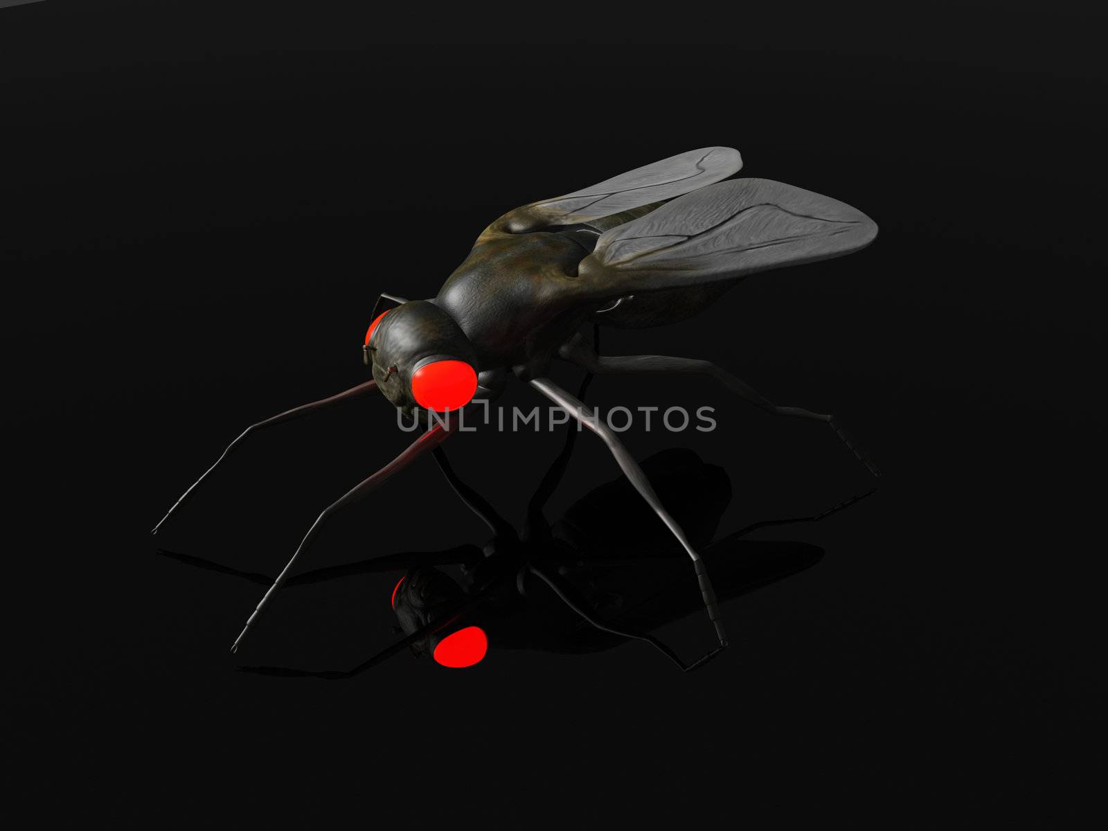 3D rendered Illustration. An evil Fly in the Dark.