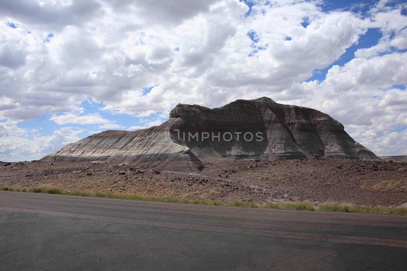 Painted Desert by Ffooter