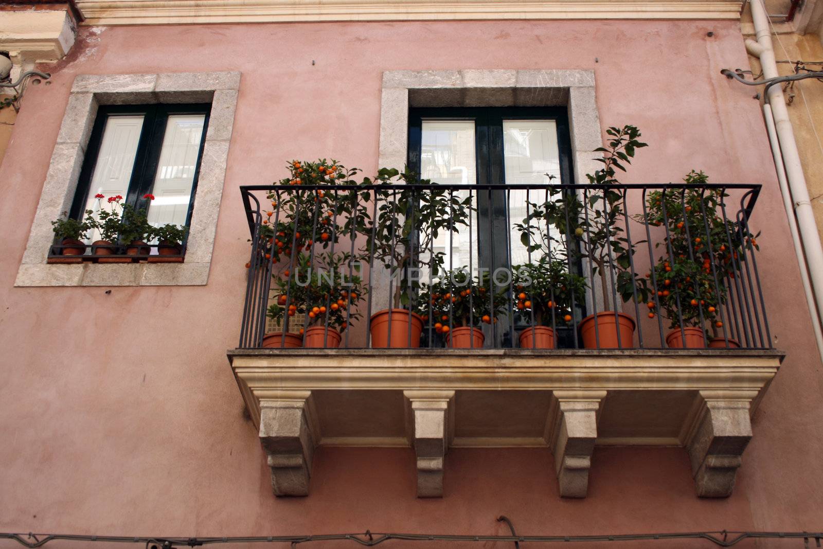 Sicilian Balcony with orange trees