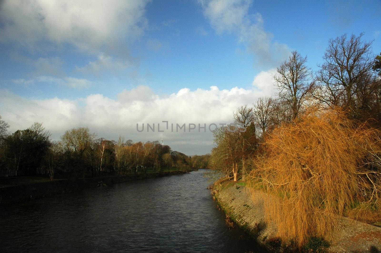 bute park cardiff by lehnerda