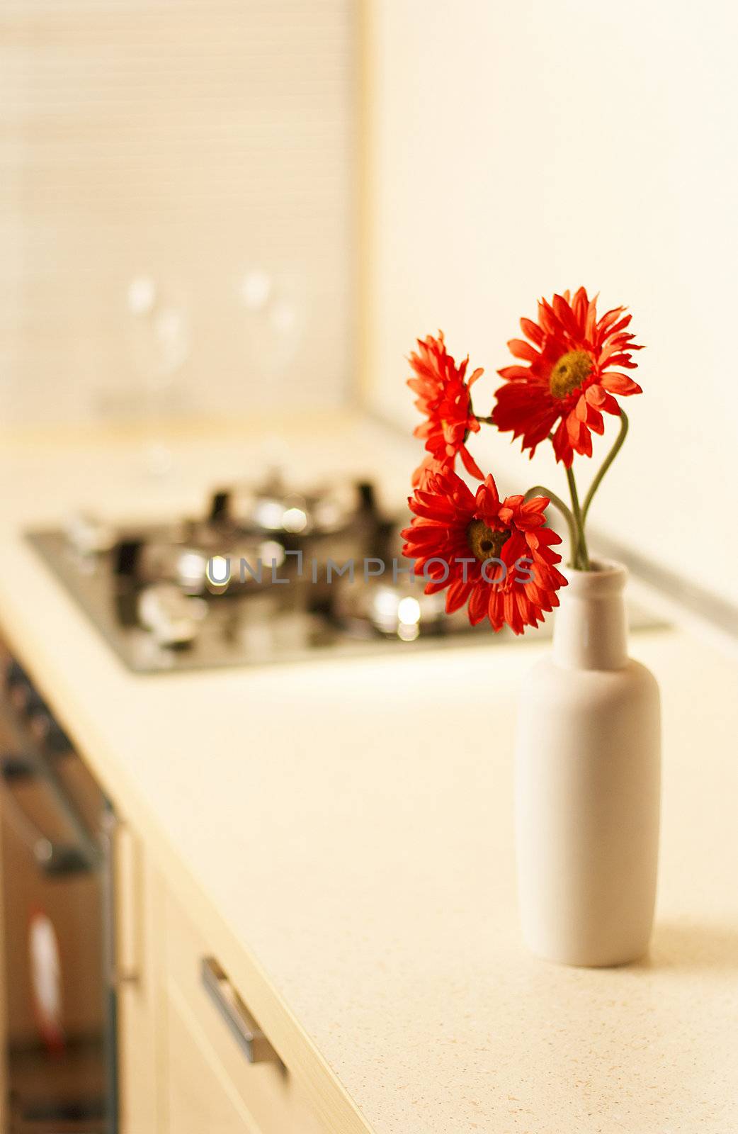 Beautiful flower on table in modern kitchen by DmitryYakunin