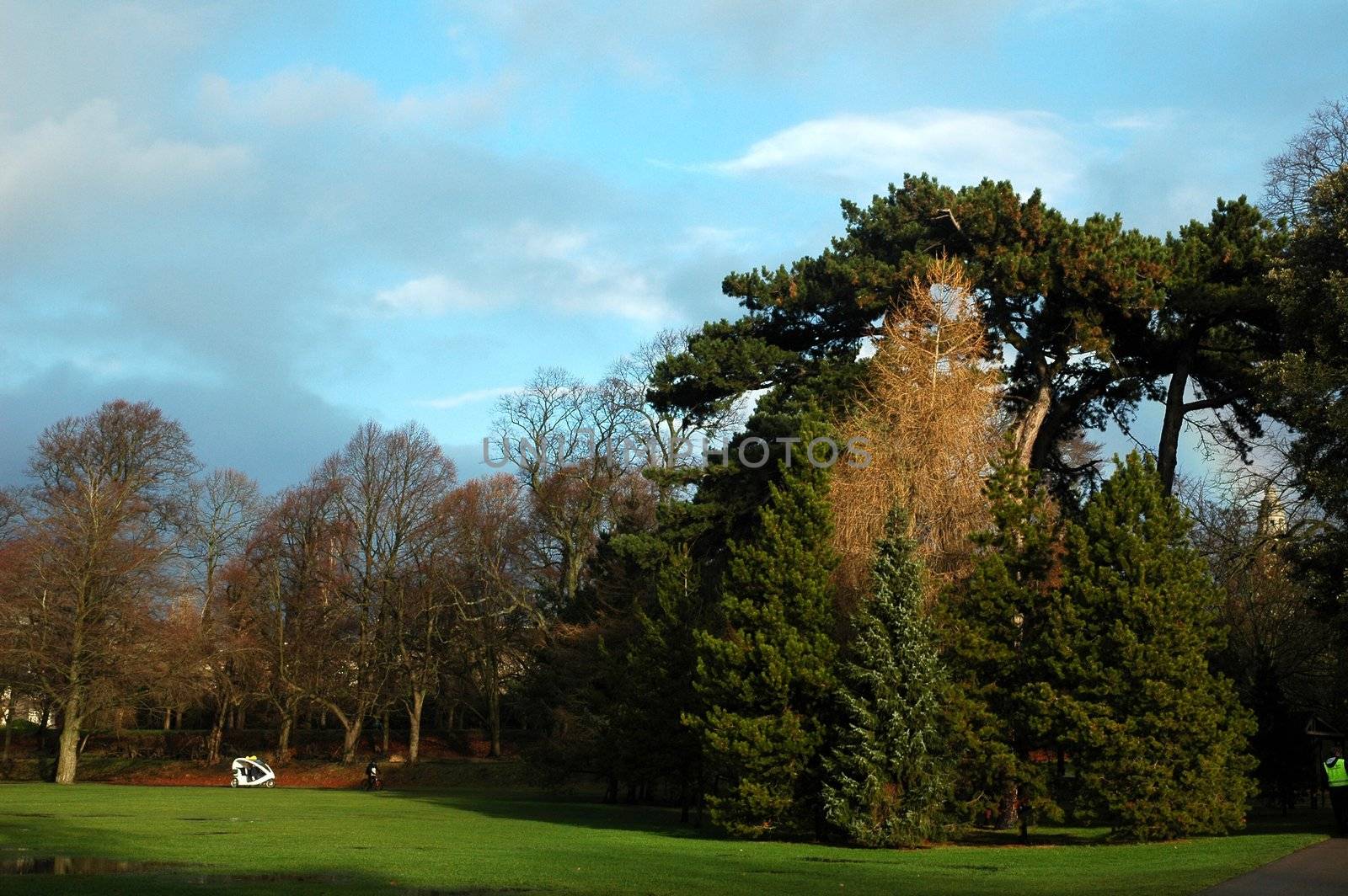 beautiful day in autumn cardif bute park with blue sky