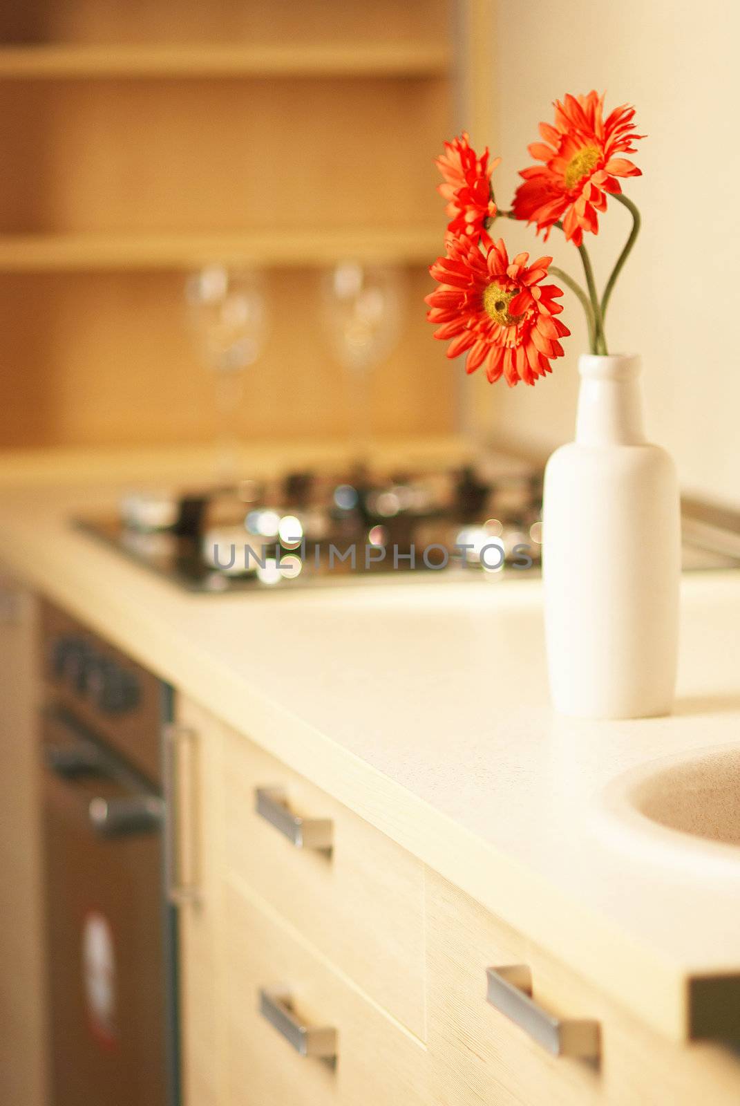 Beautiful flower on table in modern kitchen by DmitryYakunin