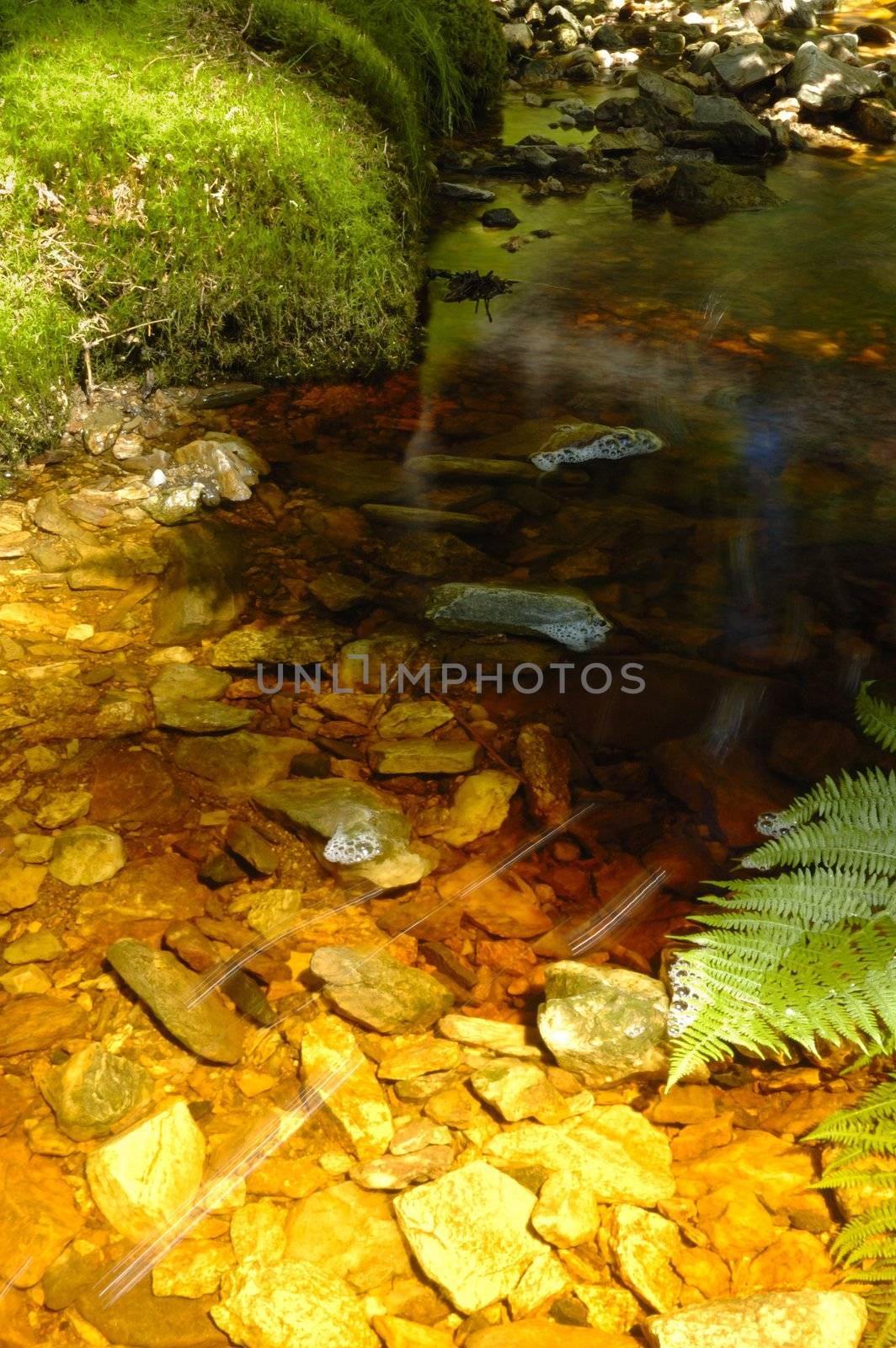 brook in czech mountain, verically framed shot