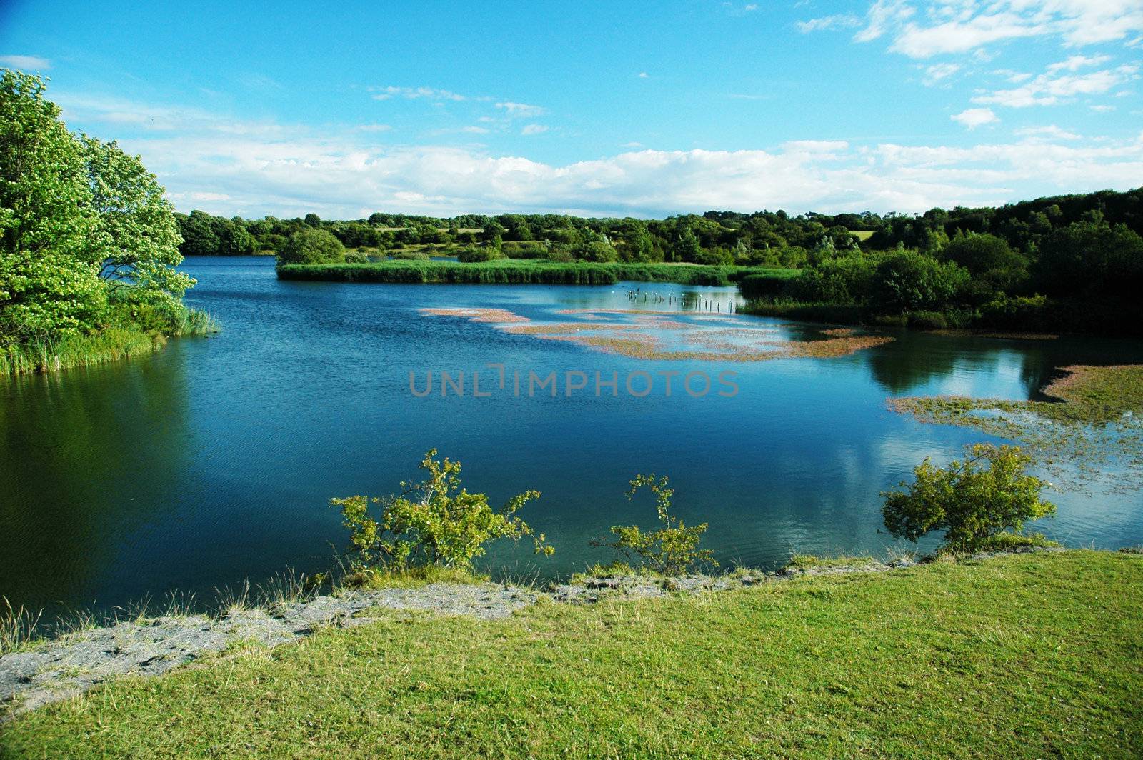 sully lake with blue sky and trees, horizontally framed shot