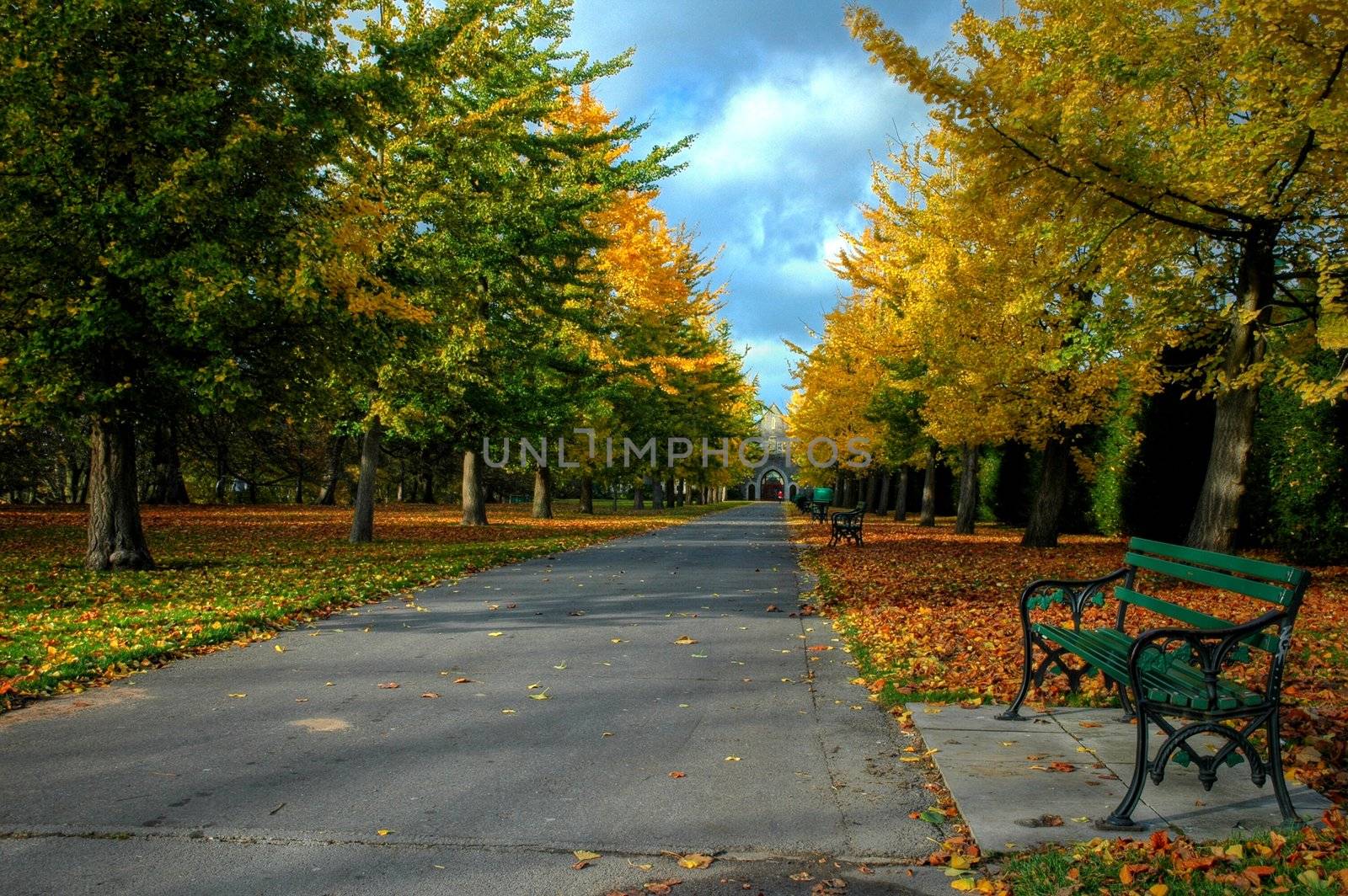 bute park in cardiff with beautiful autumn colours of trees and bench