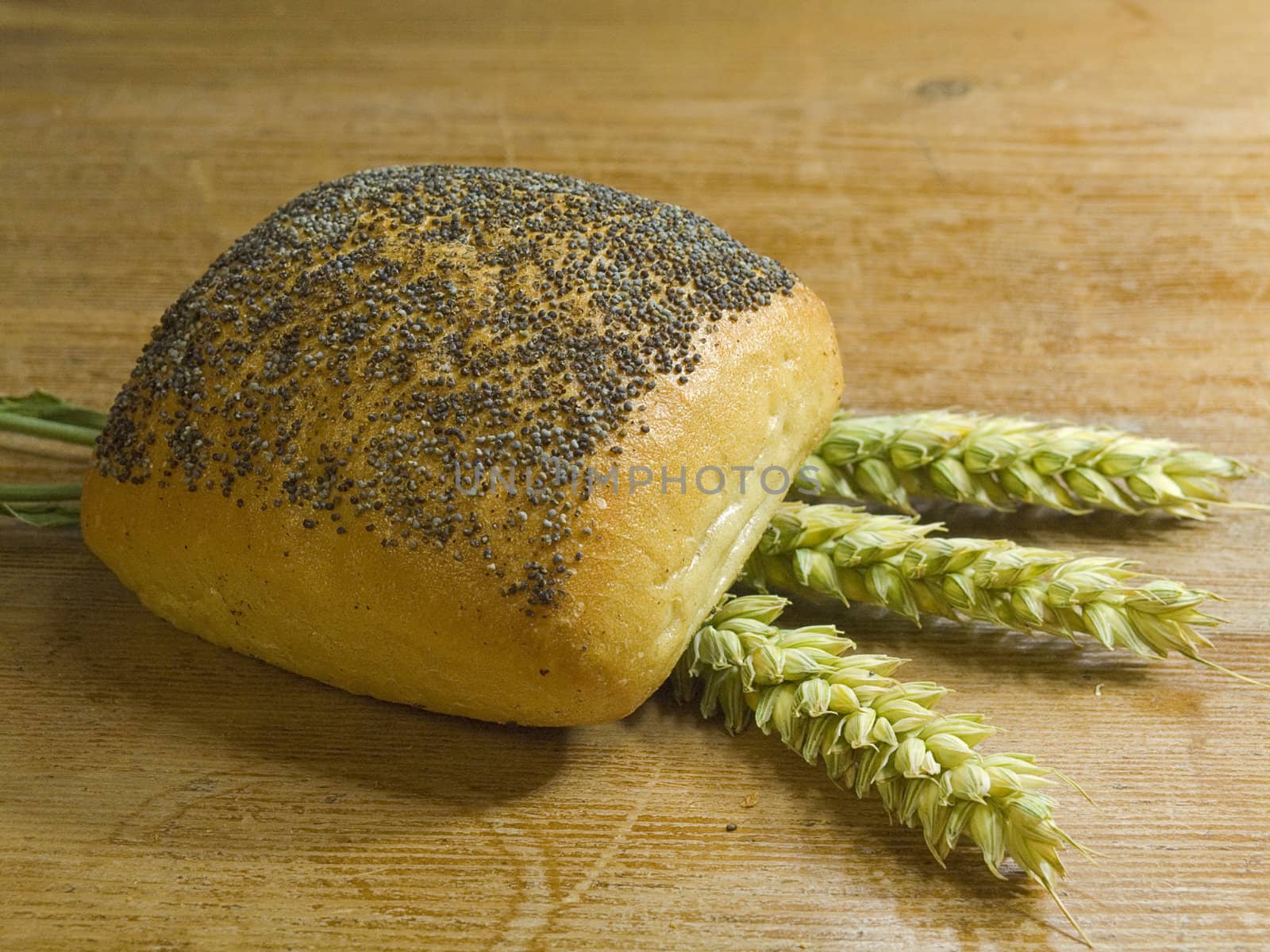 close-up of fresh baked rolls on the table