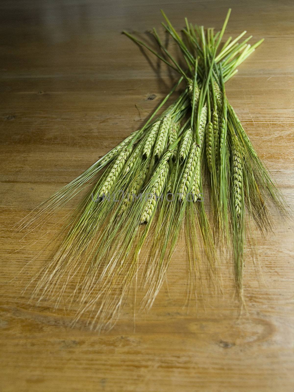 close-up of fresh green ears on the table