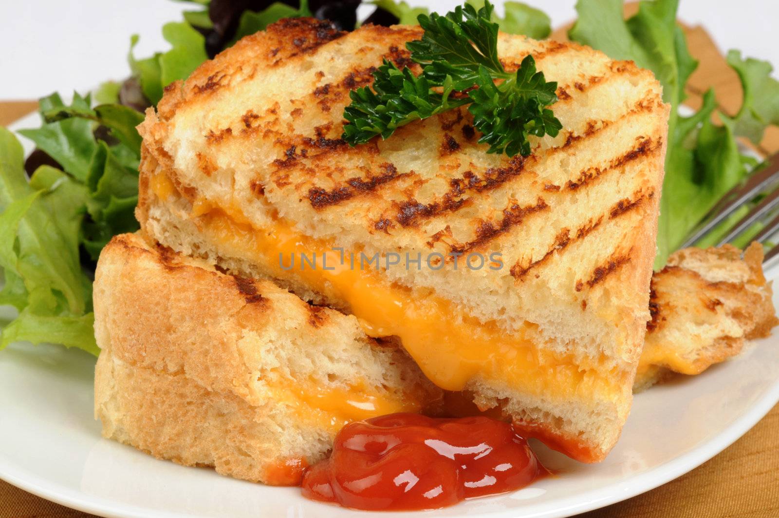 Grilled Cheese by billberryphotography