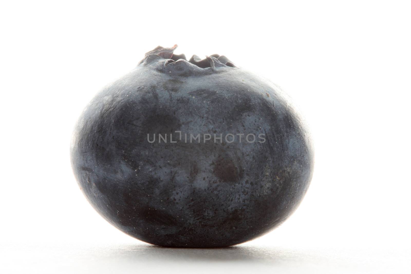 One blueberry shot with a macro lens from the side, high key lighting from behind the berry