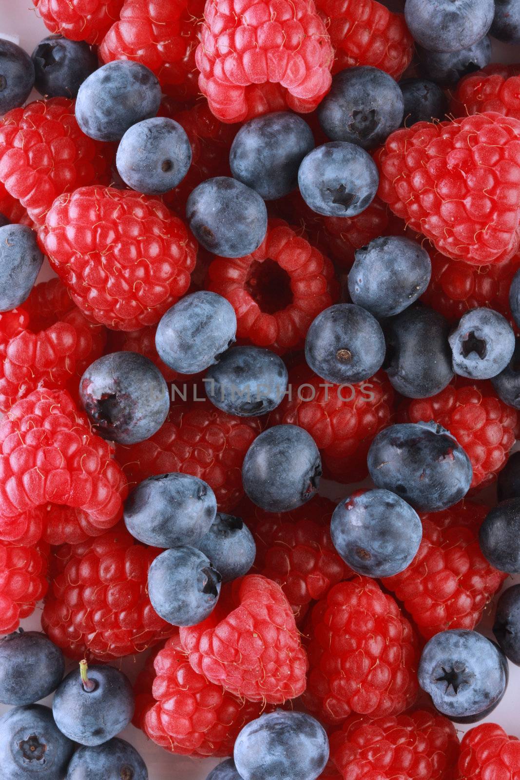 bunch of blueberries and raspberries shot in studio, great as a background